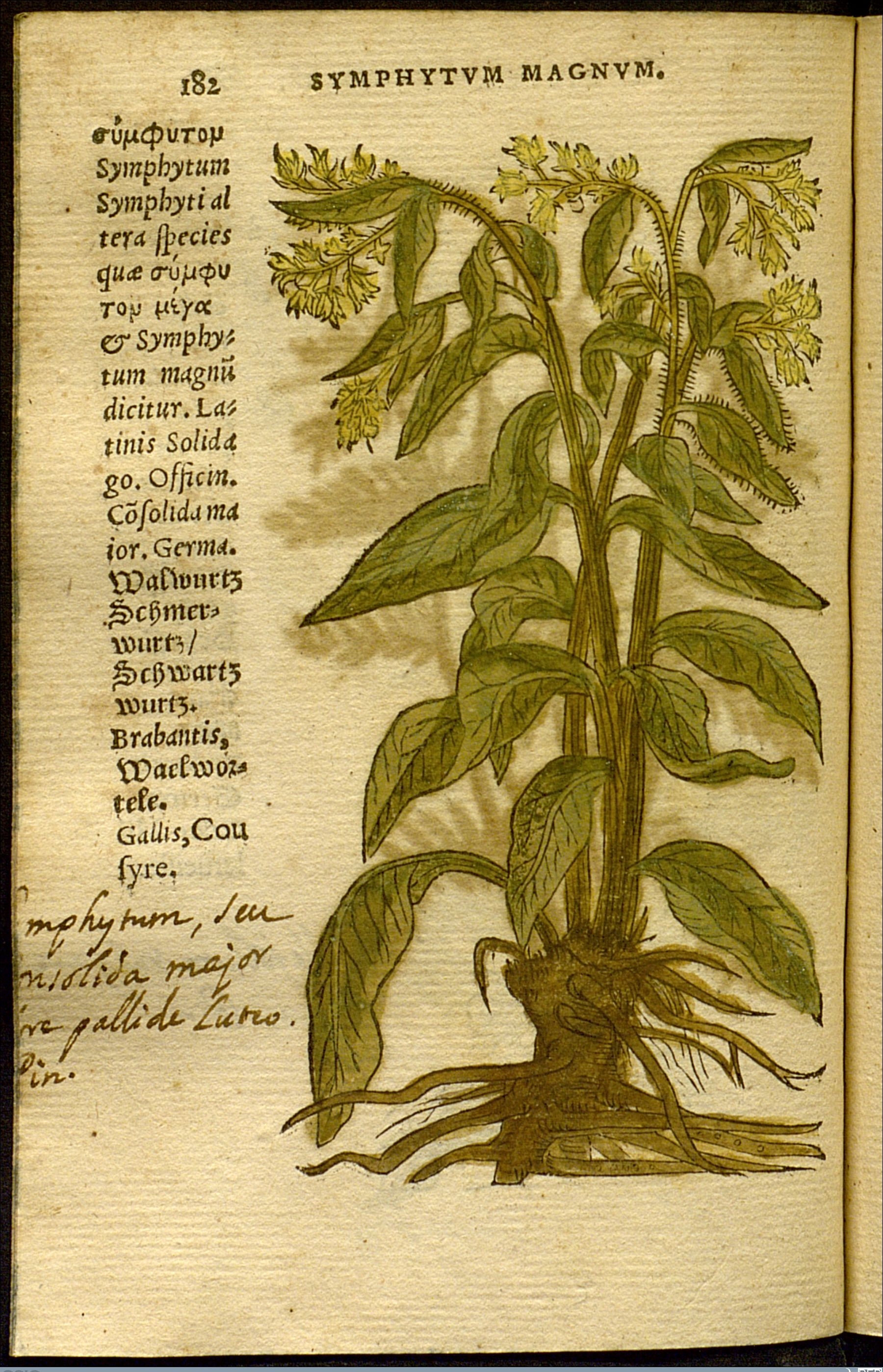 no full size  illustration available (3a)