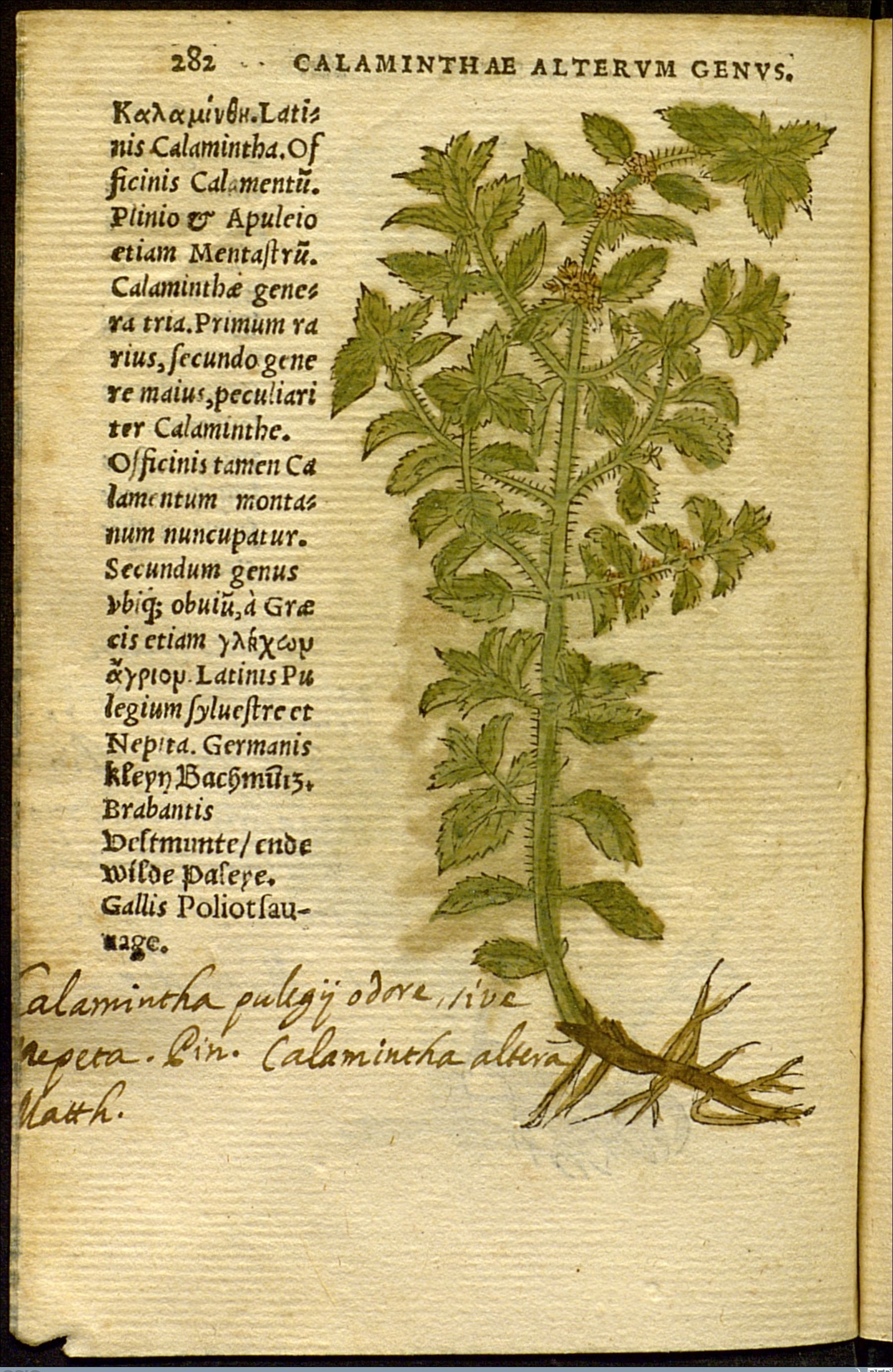 no full size  illustration available (3a)