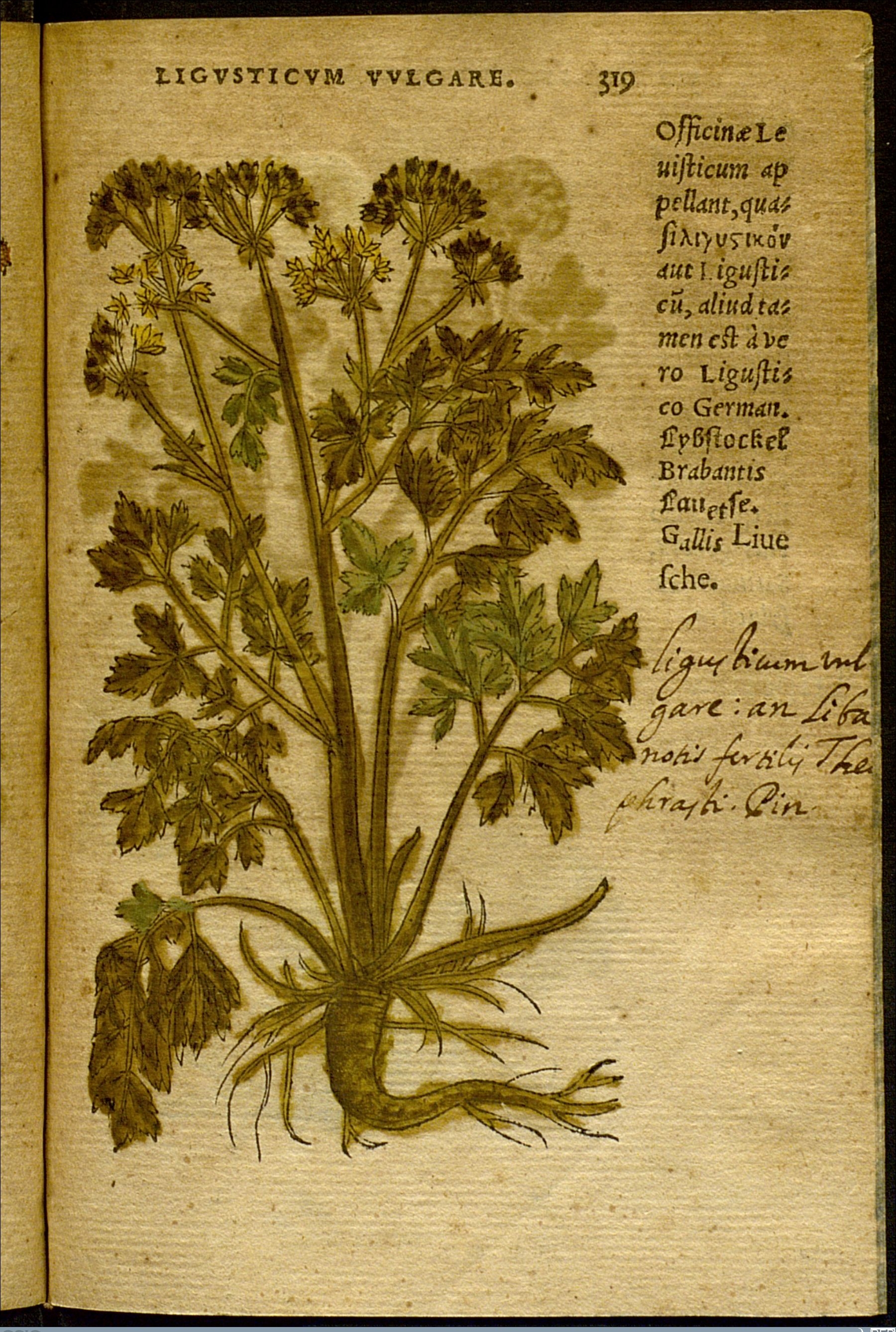 no full size  illustration available (3a)