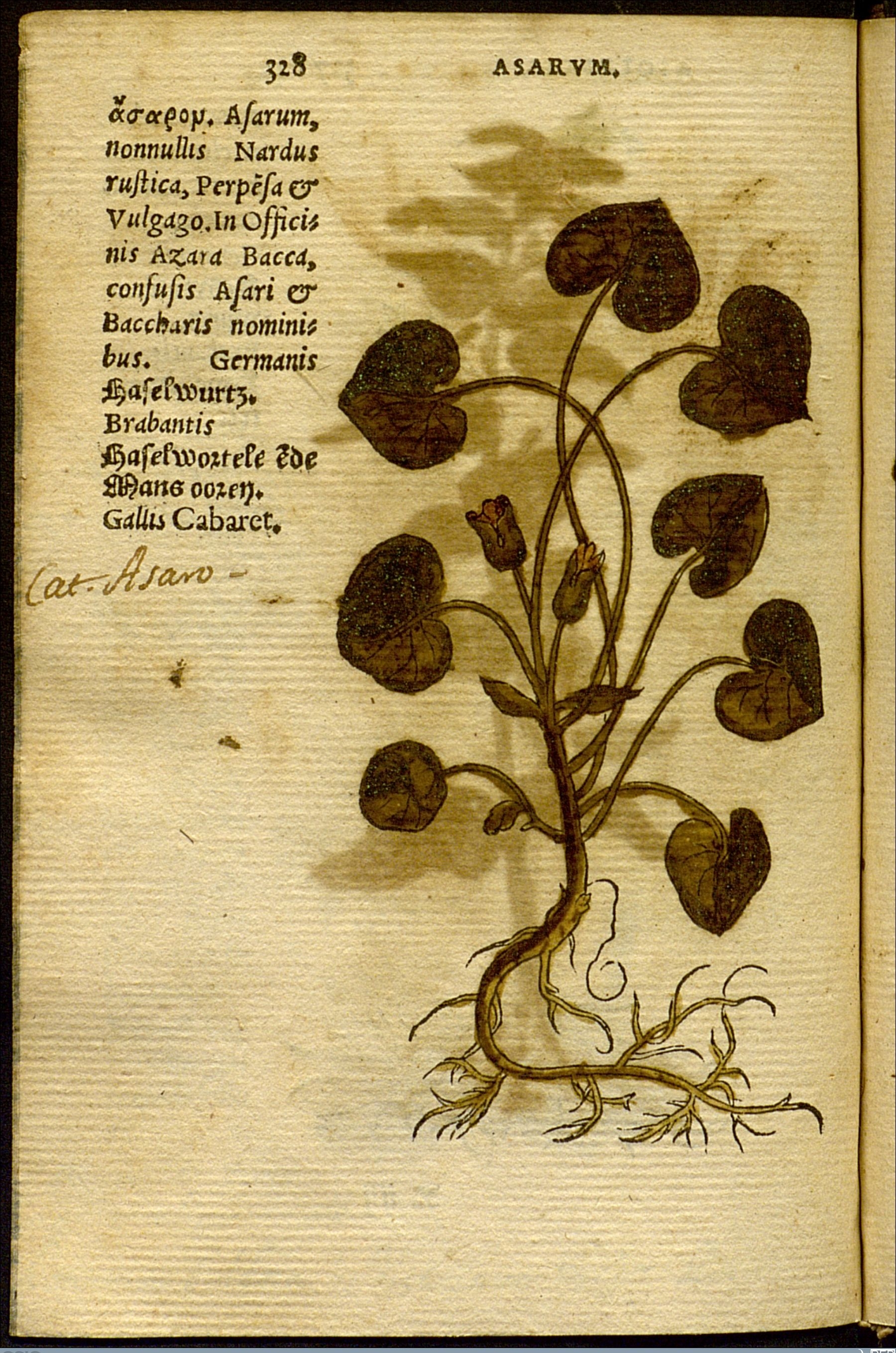 no full size  illustration available (3a)