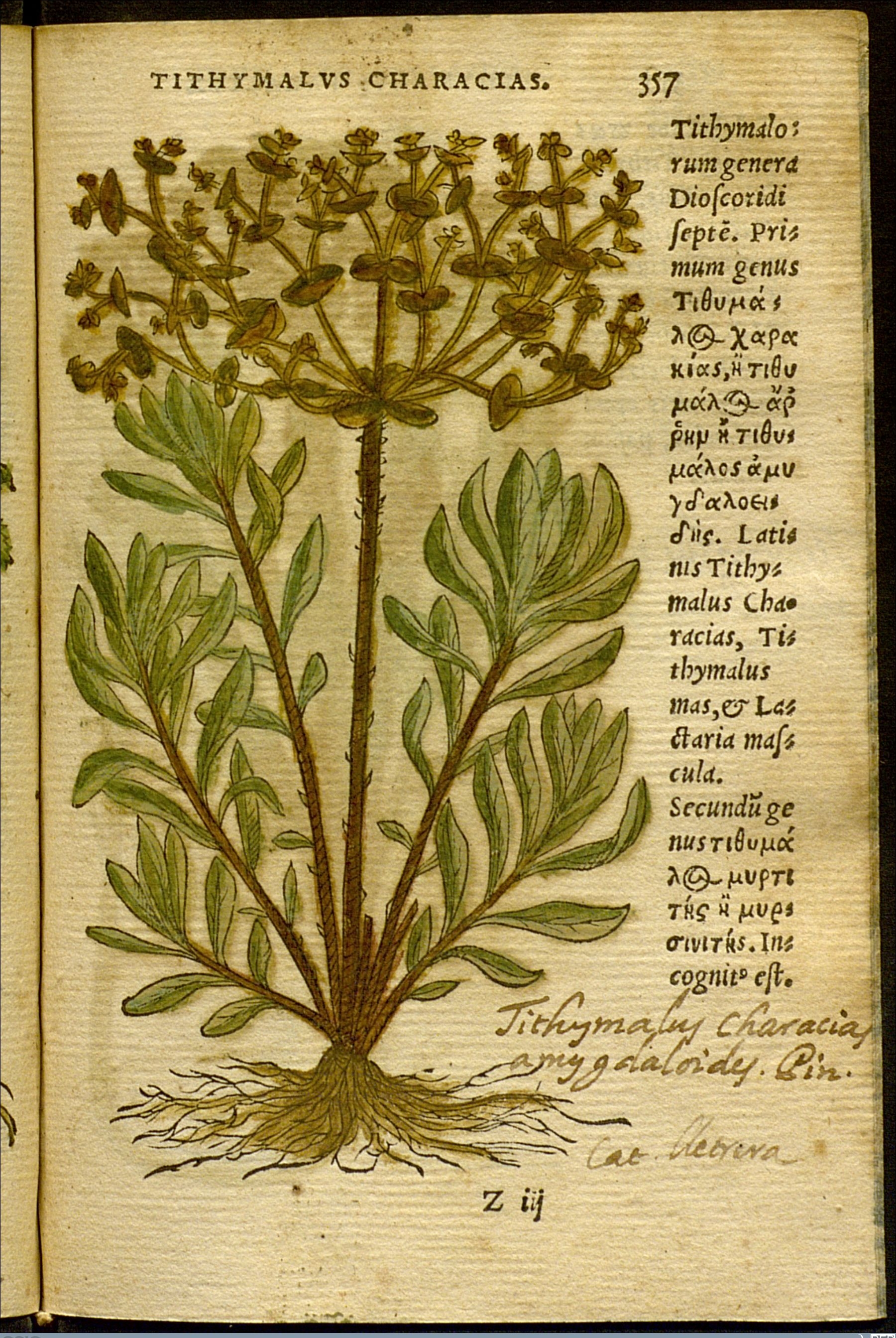 no full size  illustration available (3a)