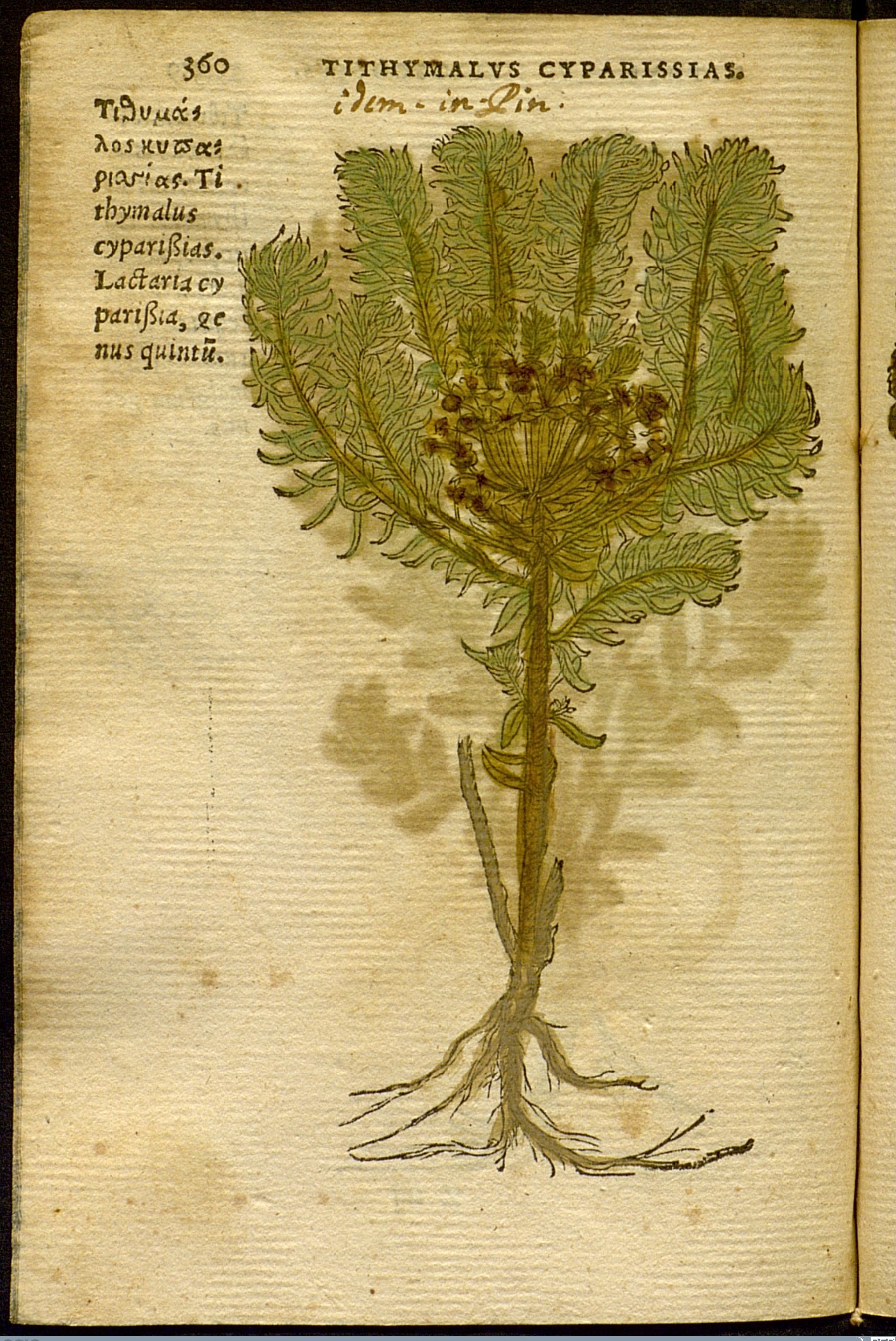 no full size  illustration available (3a)