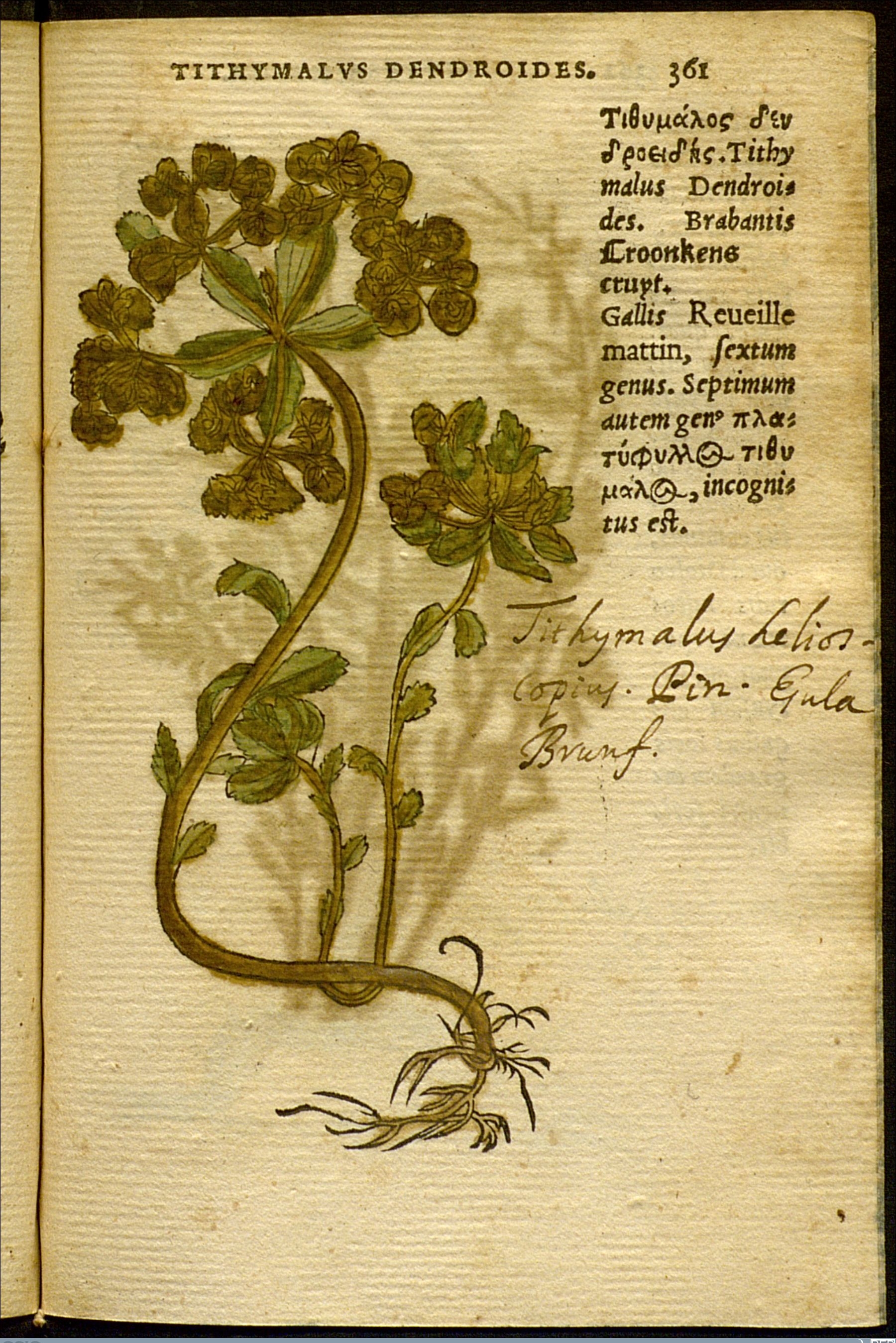 no full size  illustration available (3a)