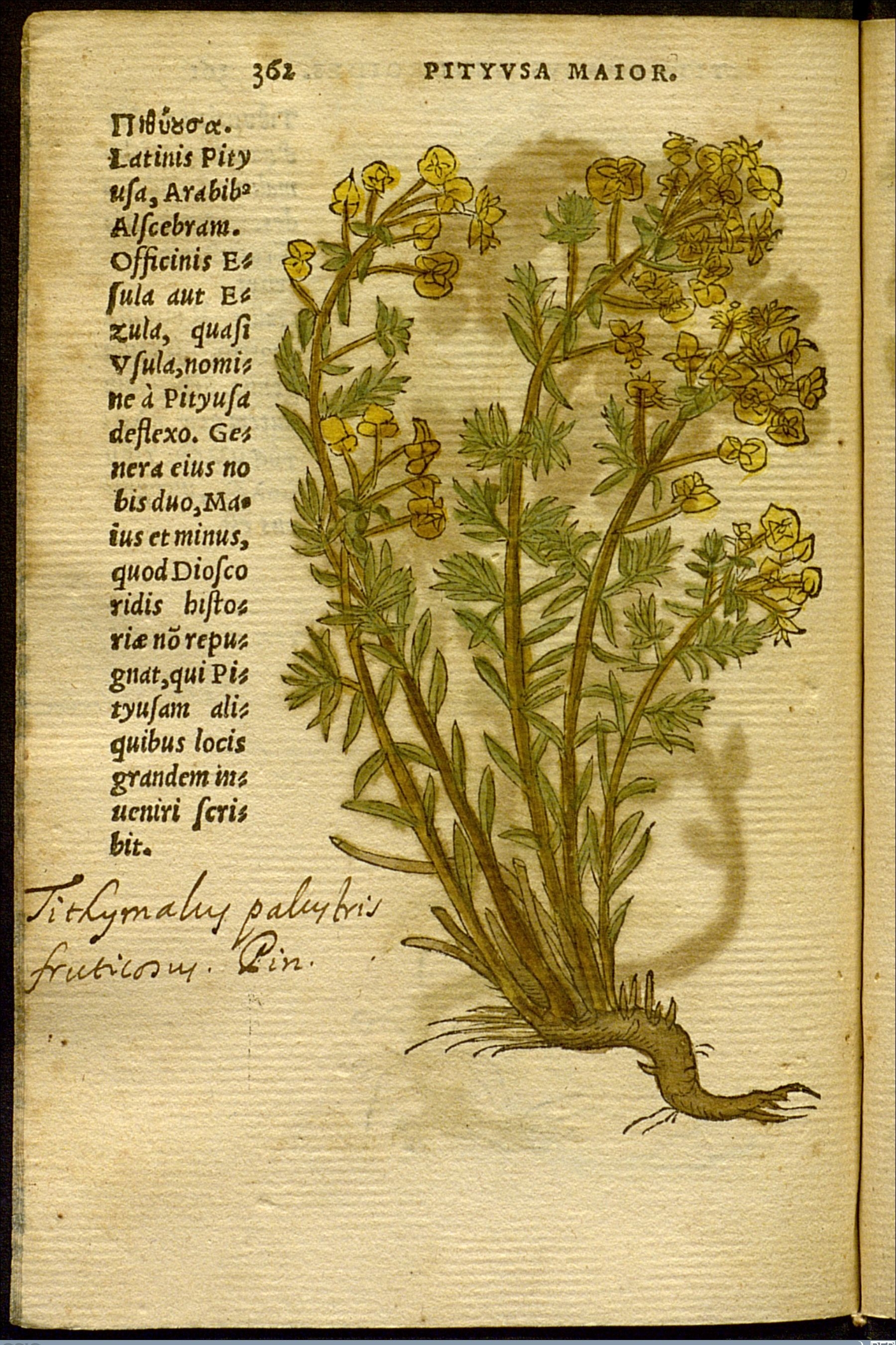 no full size  illustration available (3a)