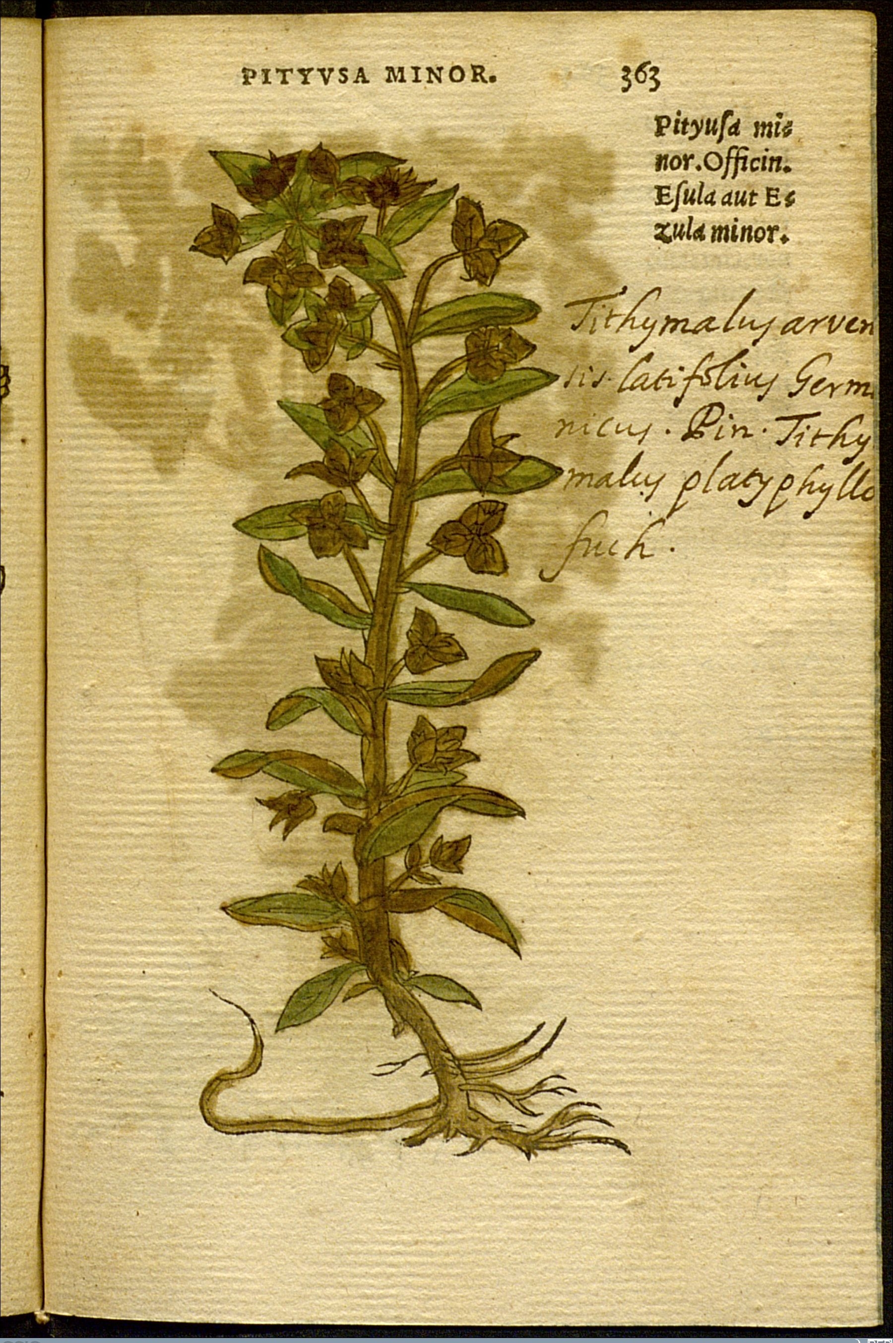 no full size  illustration available (3a)