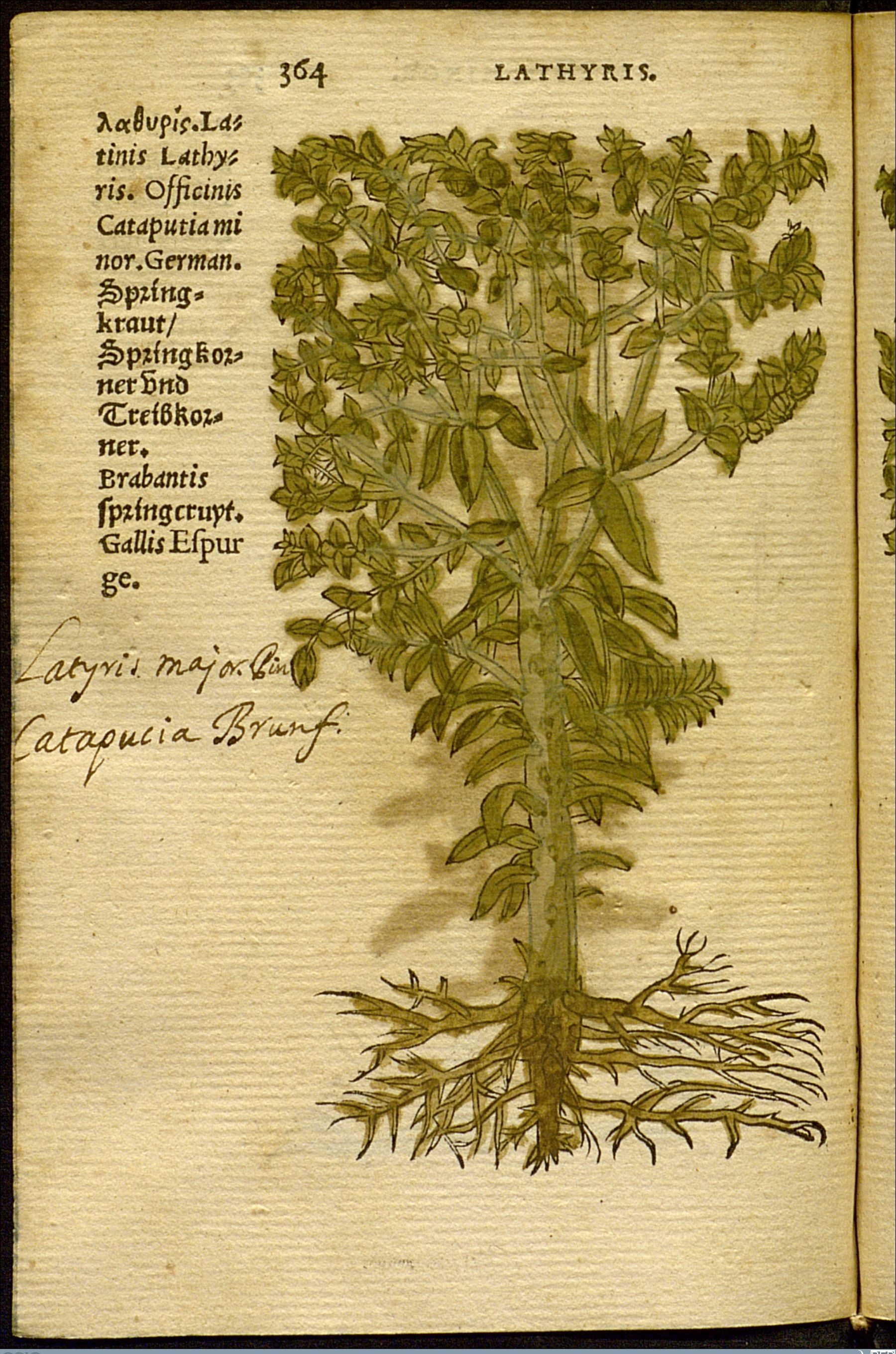 no full size  illustration available (3a)