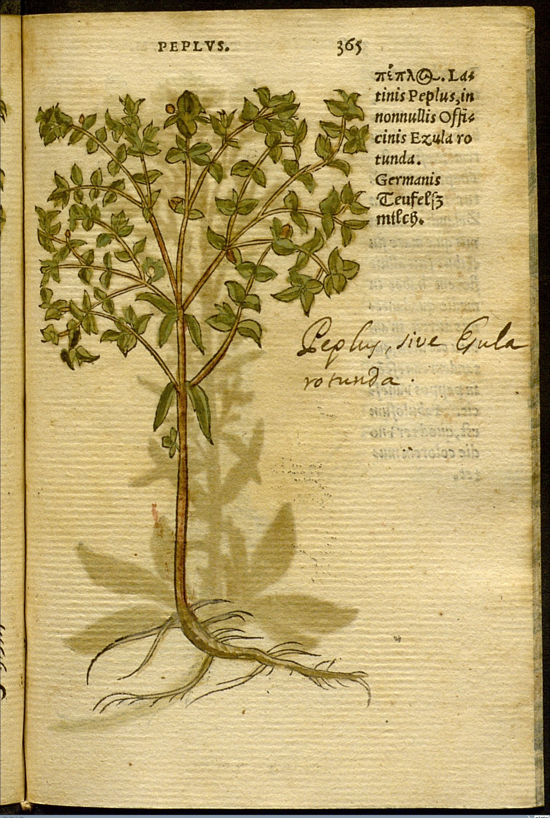 no full size  illustration available (3a)