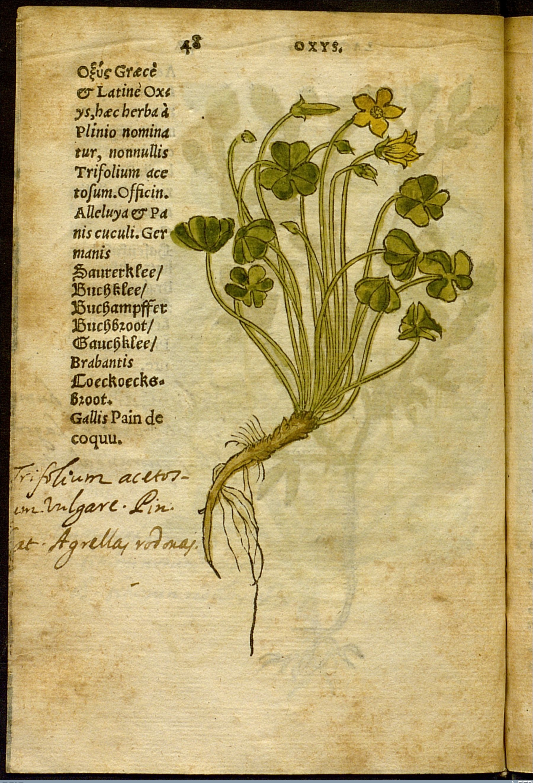 no full size  illustration available (3a)