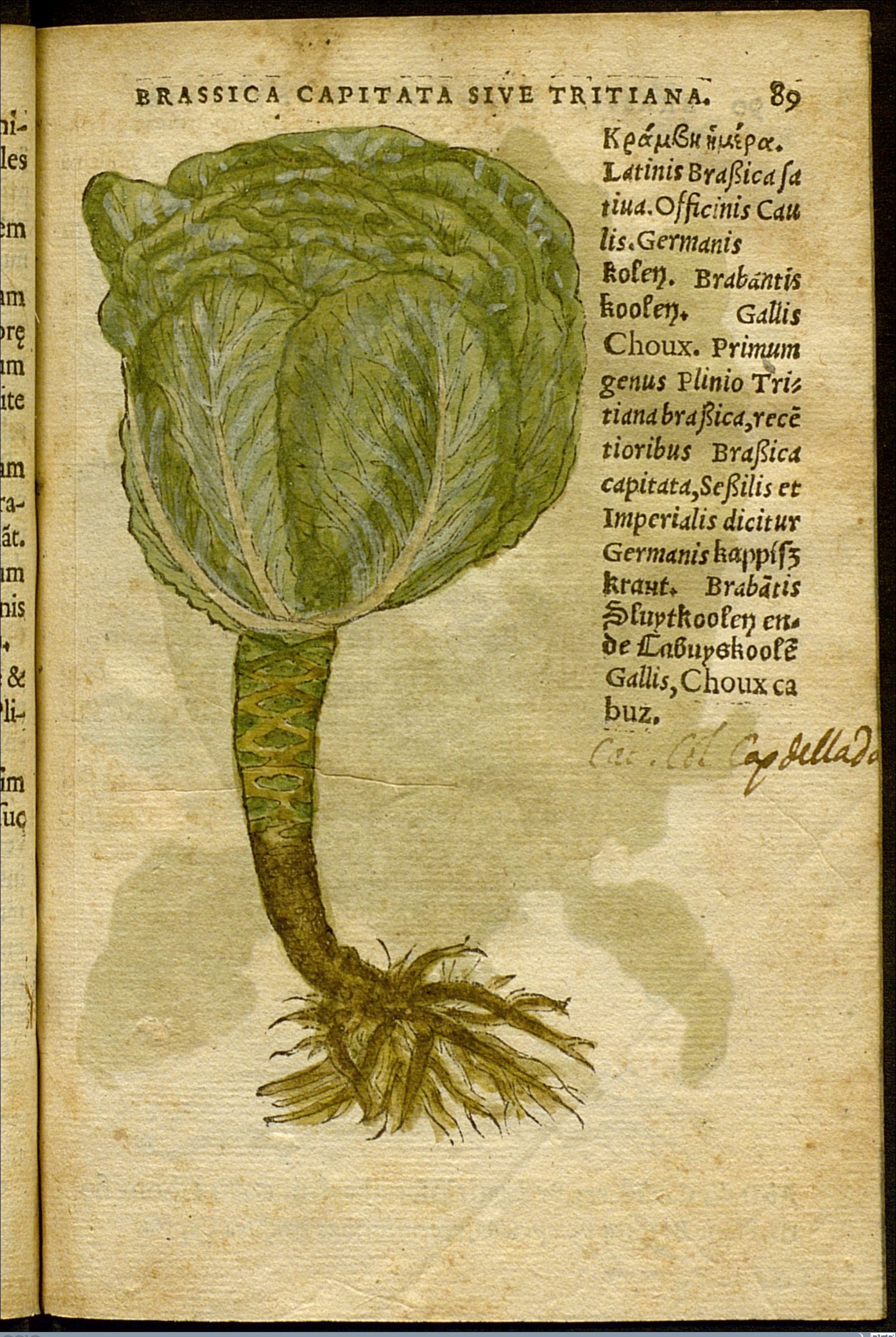 no full size  illustration available (3a)