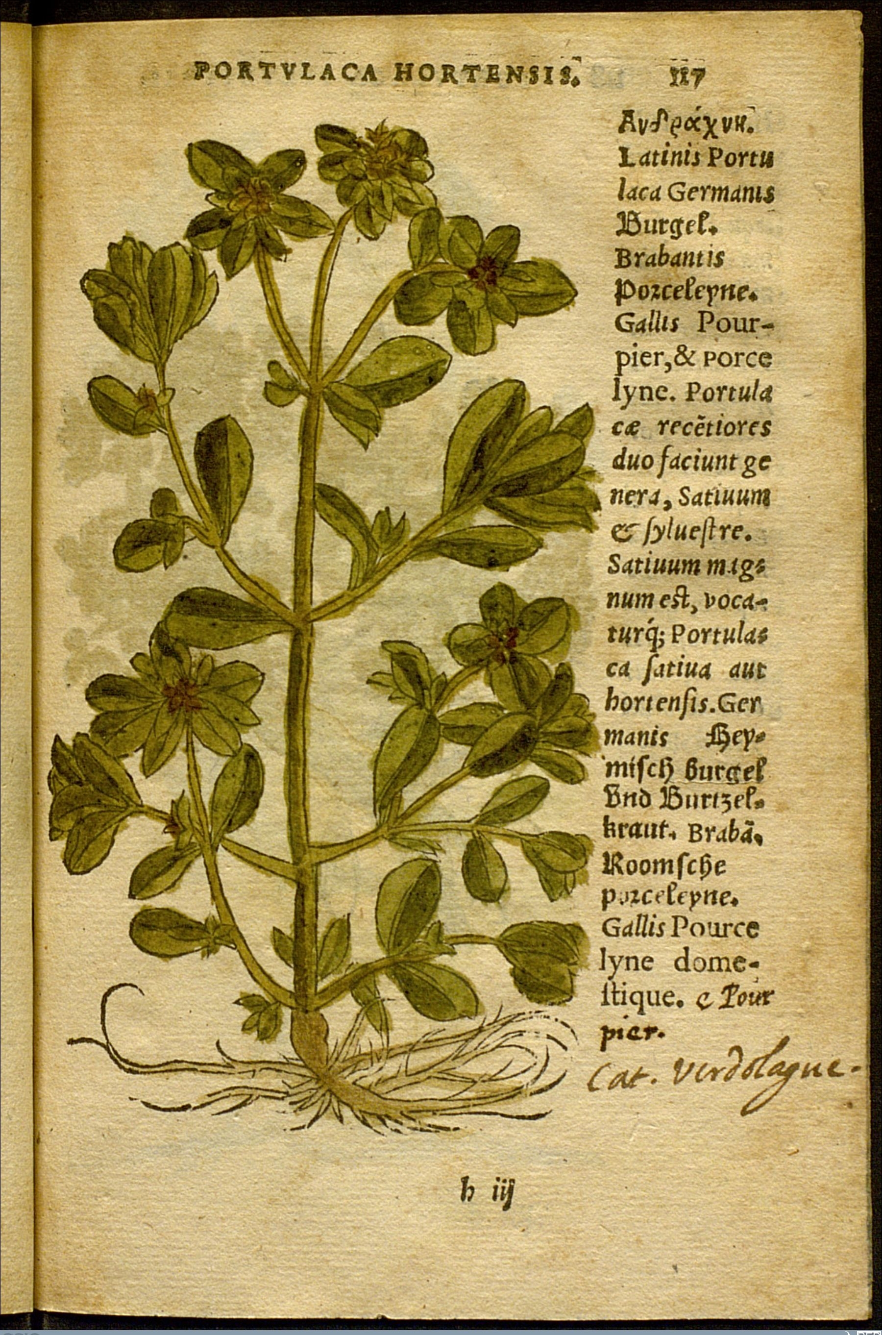 no full size  illustration available (3a)