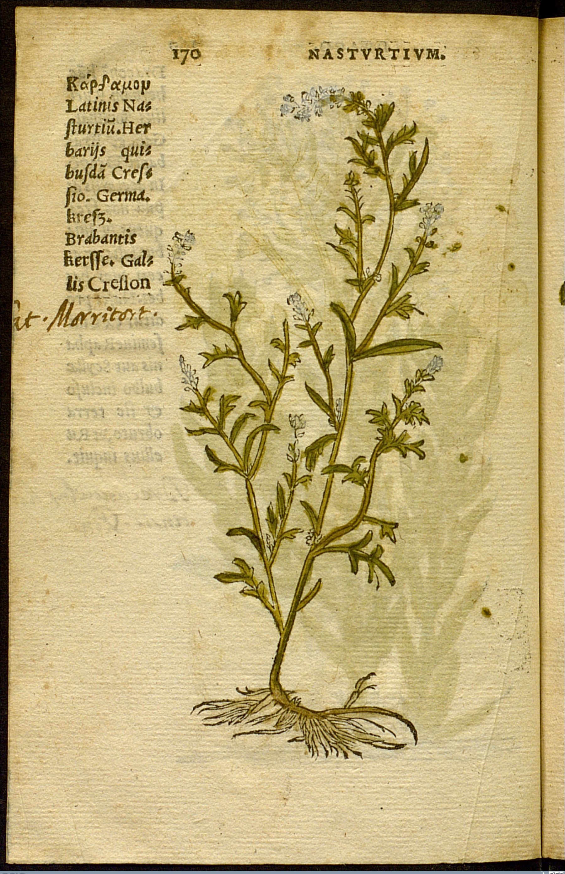 no full size  illustration available (3a)