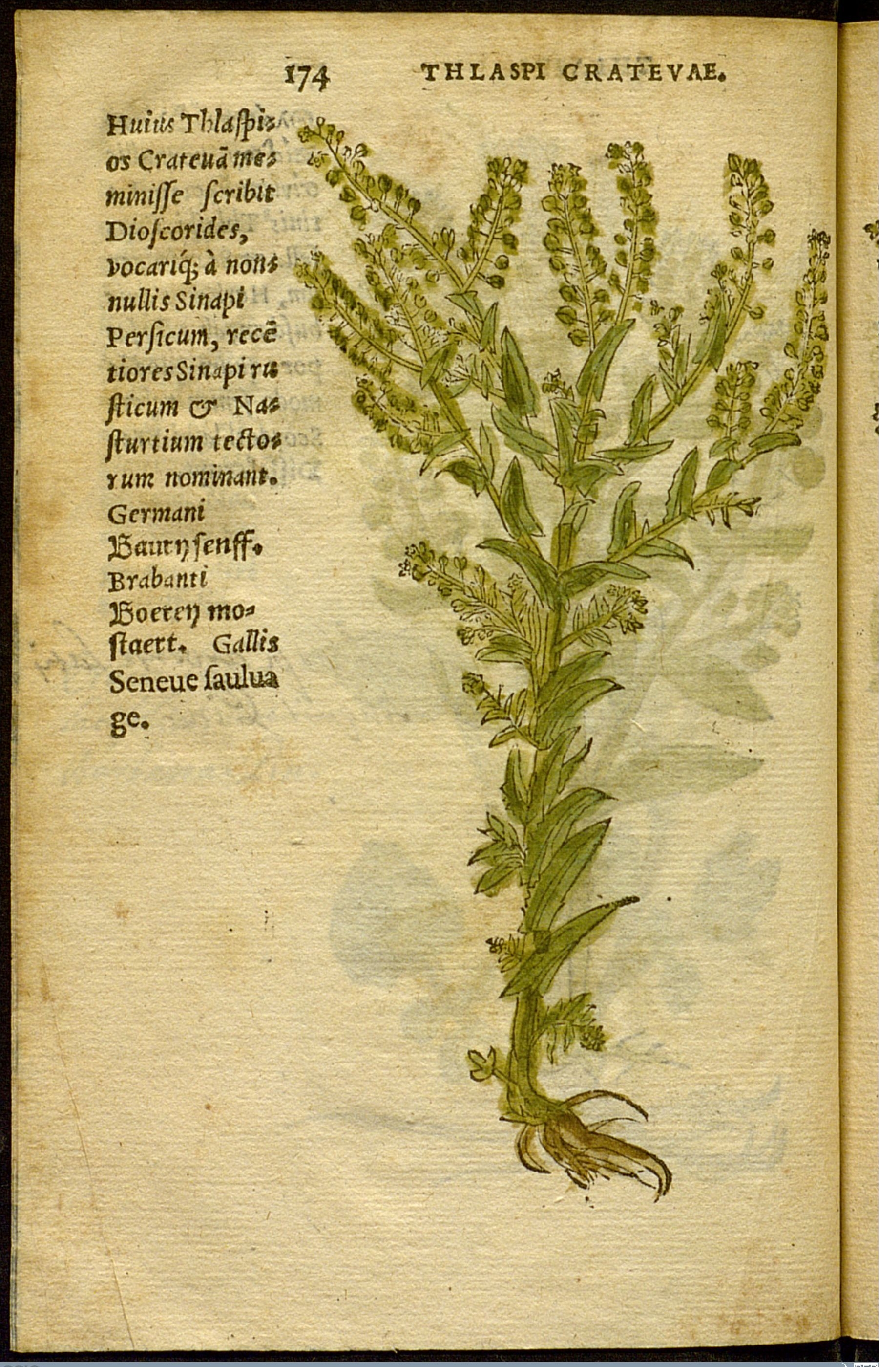 no full size  illustration available (3a)