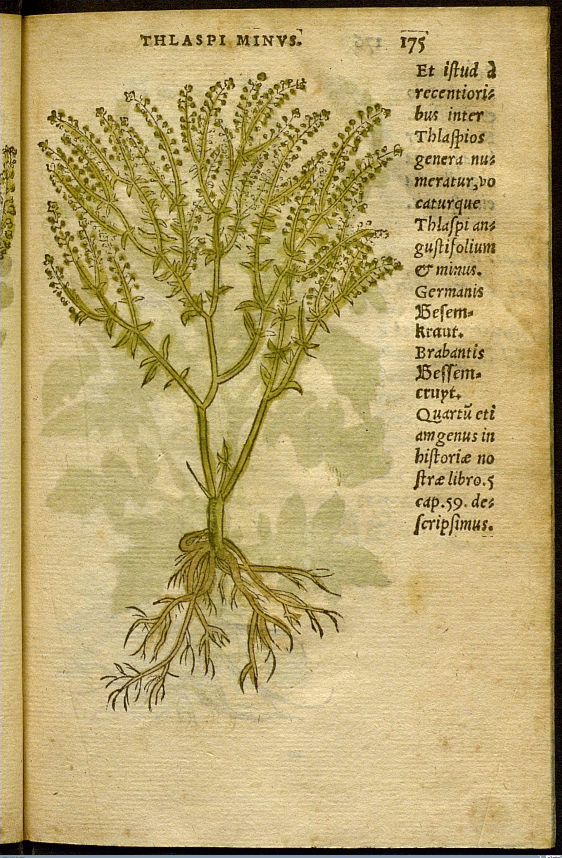 no full size  illustration available (3a)