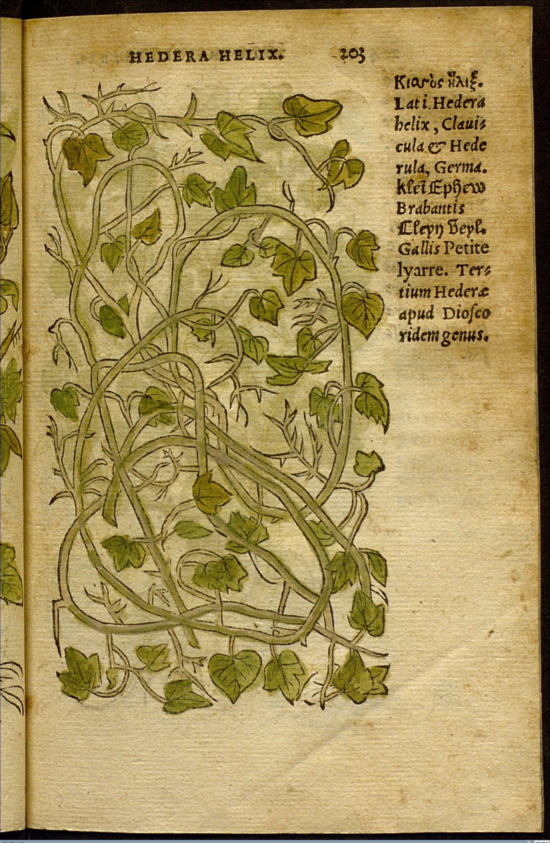 no full size  illustration available (3a)