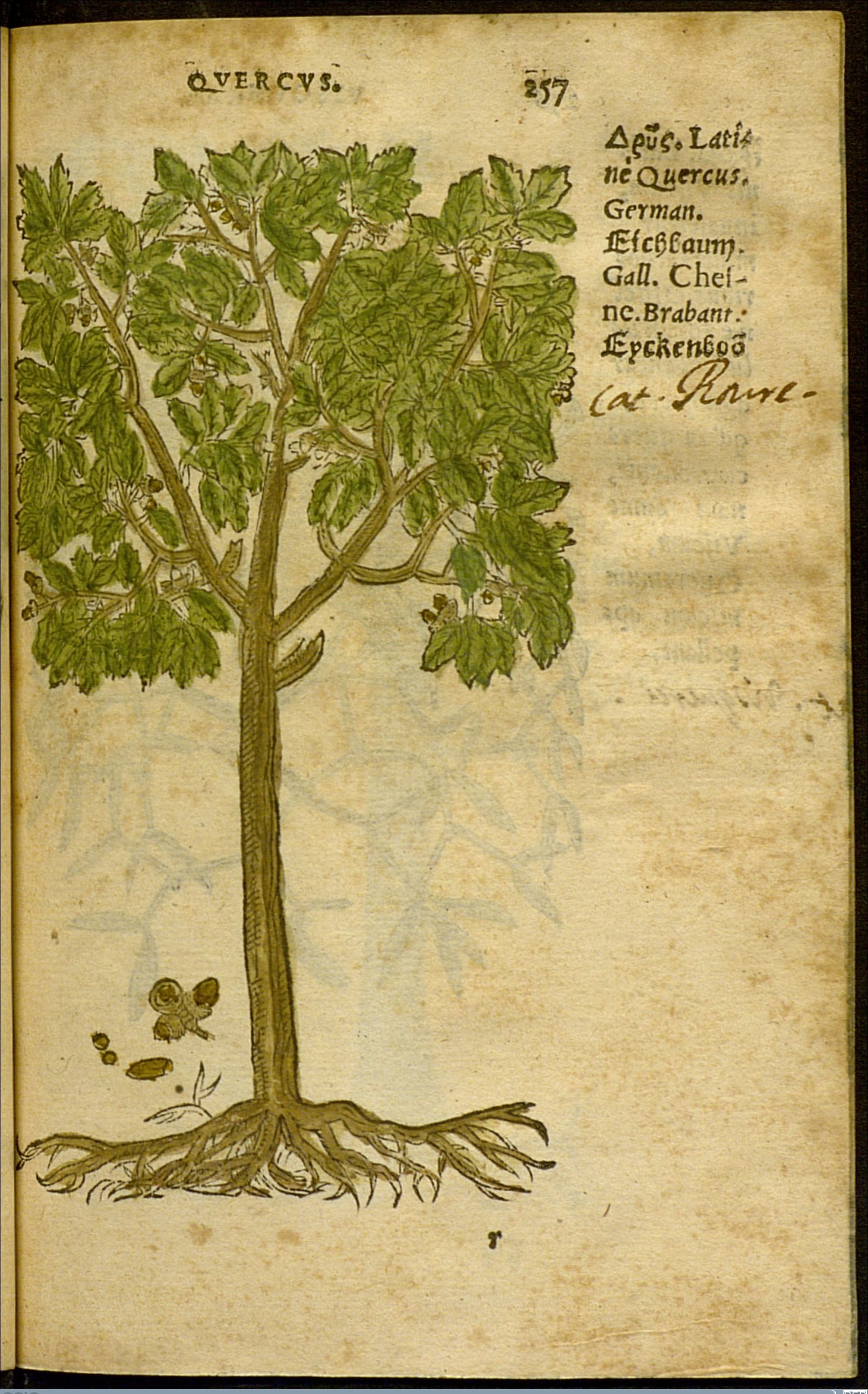 no full size  illustration available (3a)