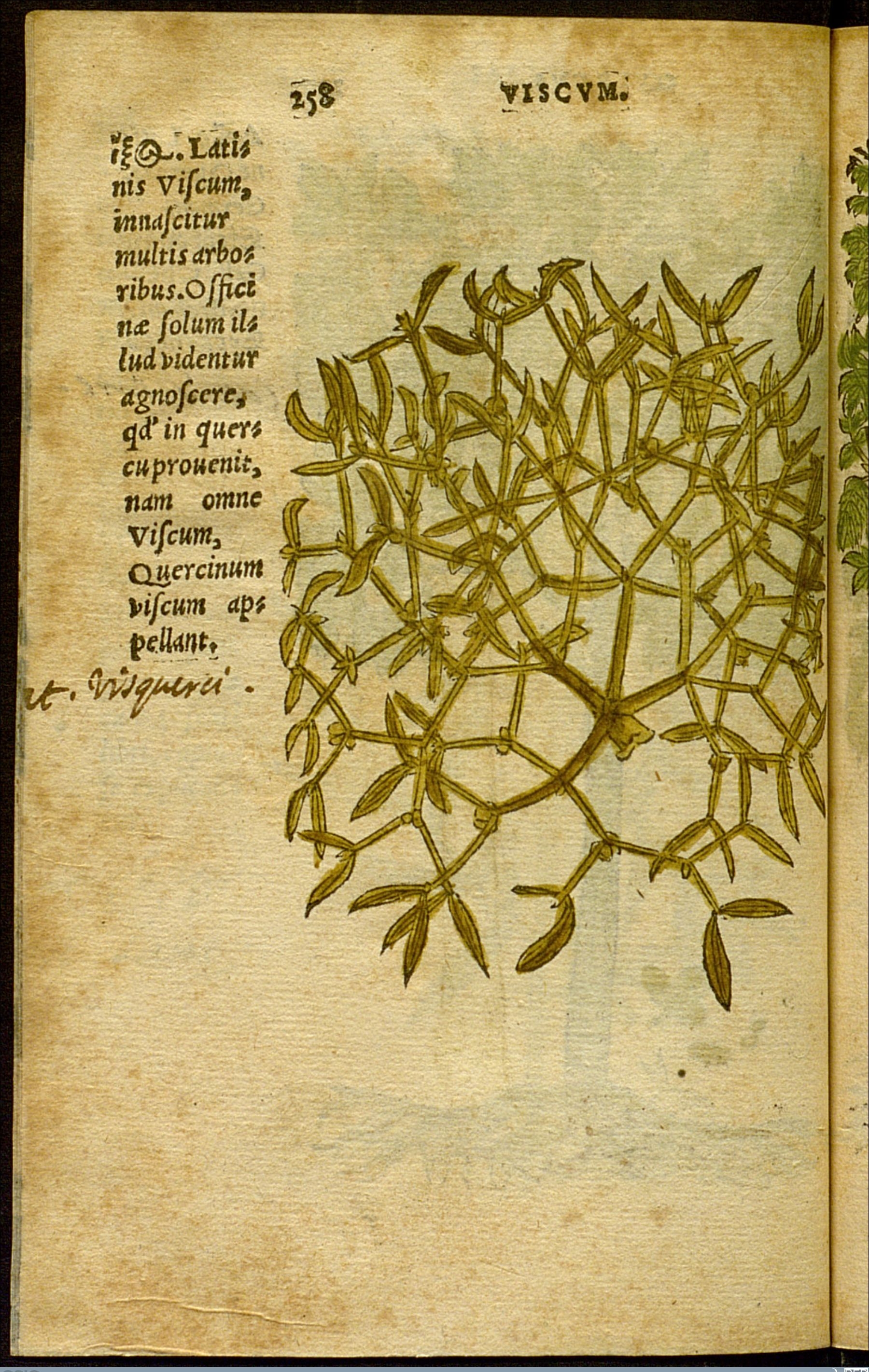 no full size  illustration available (3a)