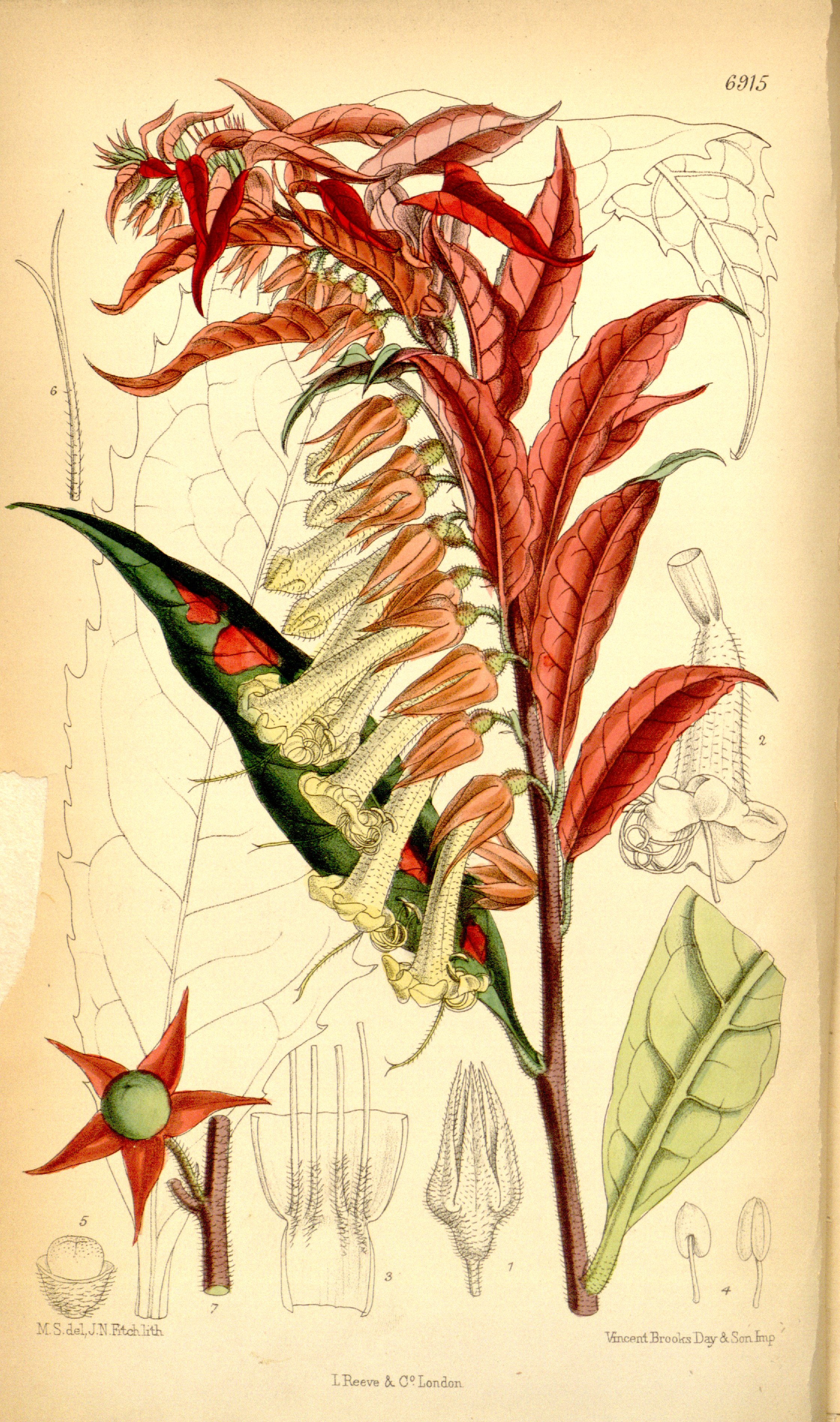 no full size  illustration available (3a)