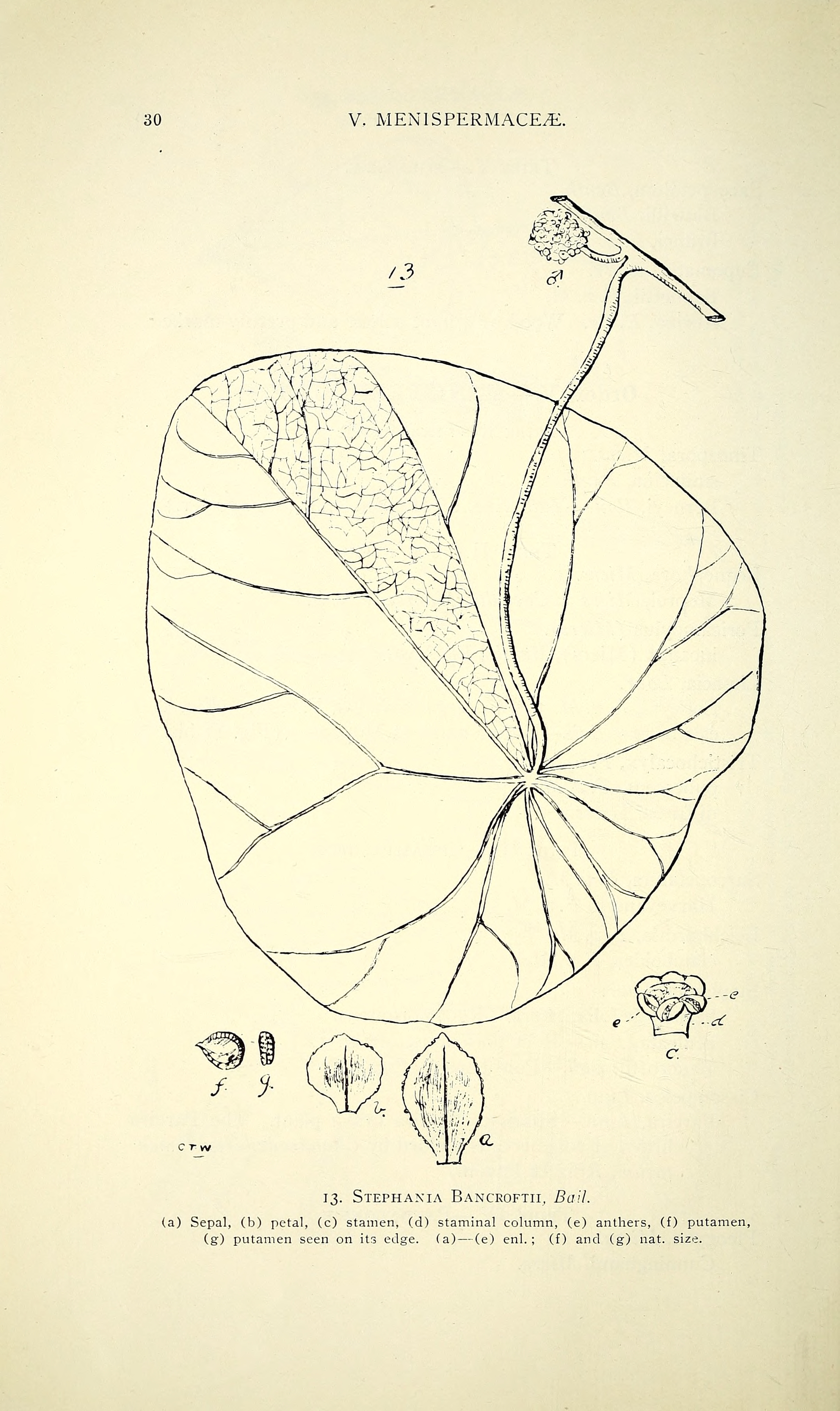 no full size  illustration available (3a)