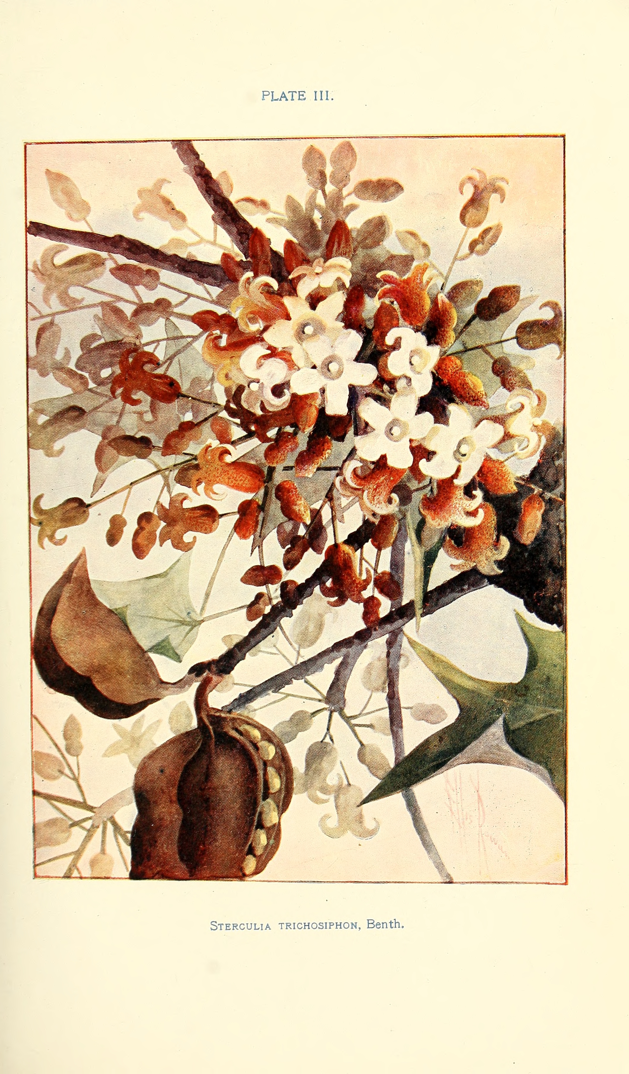 no full size  illustration available (3a)