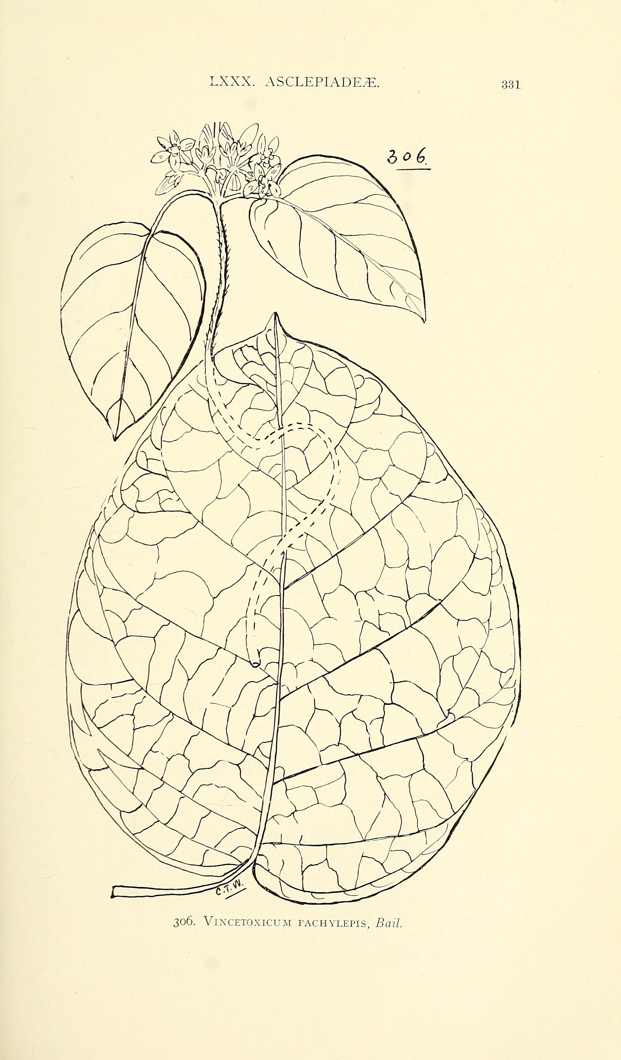 no full size  illustration available (3a)