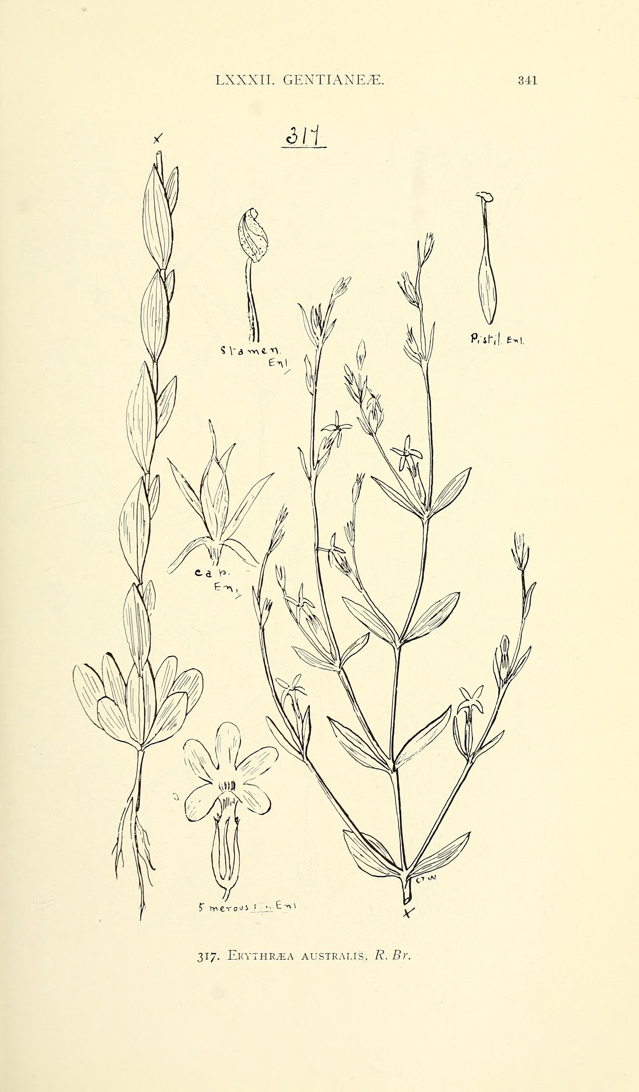 no full size  illustration available (3a)