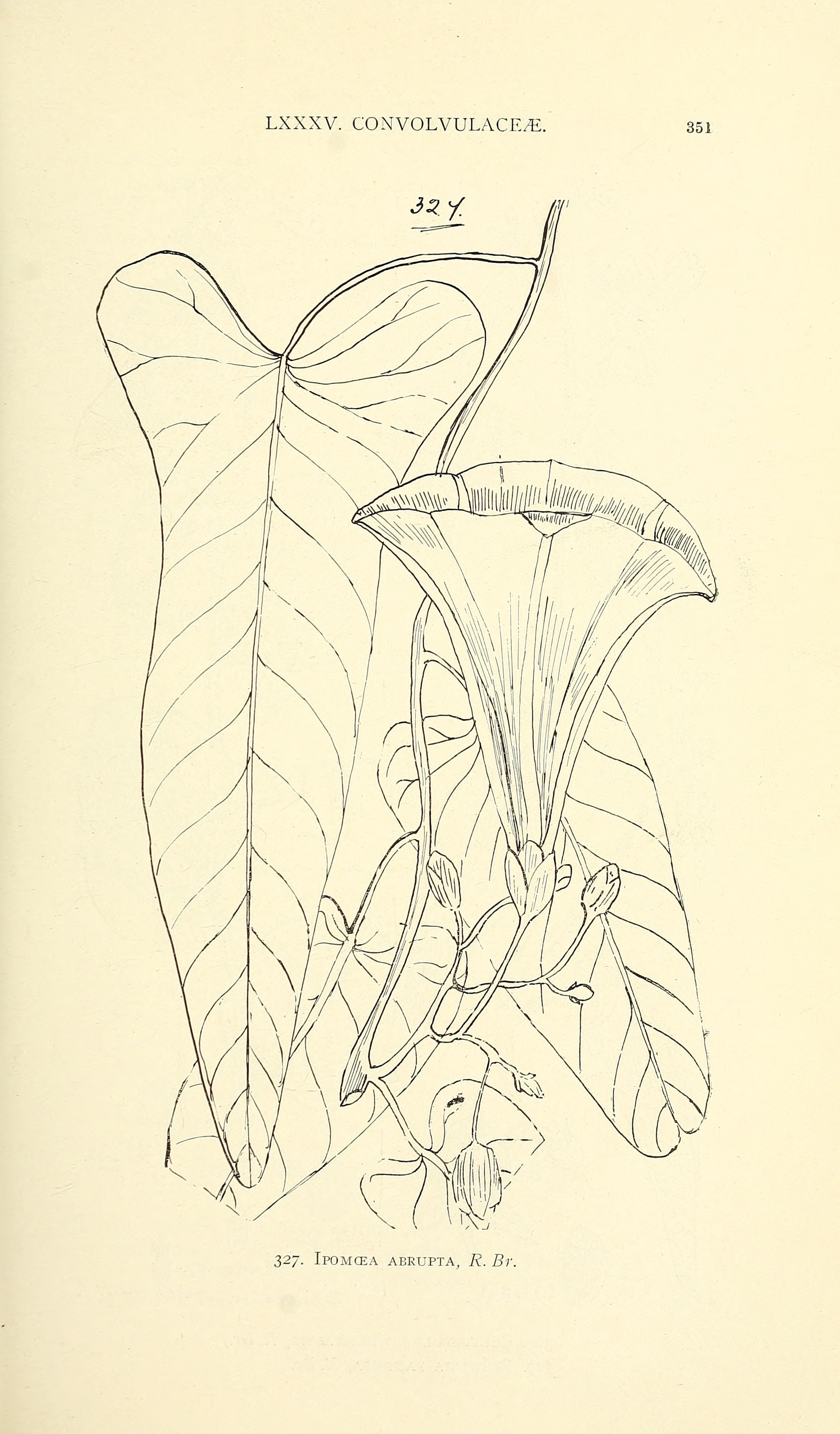 no full size  illustration available (3a)