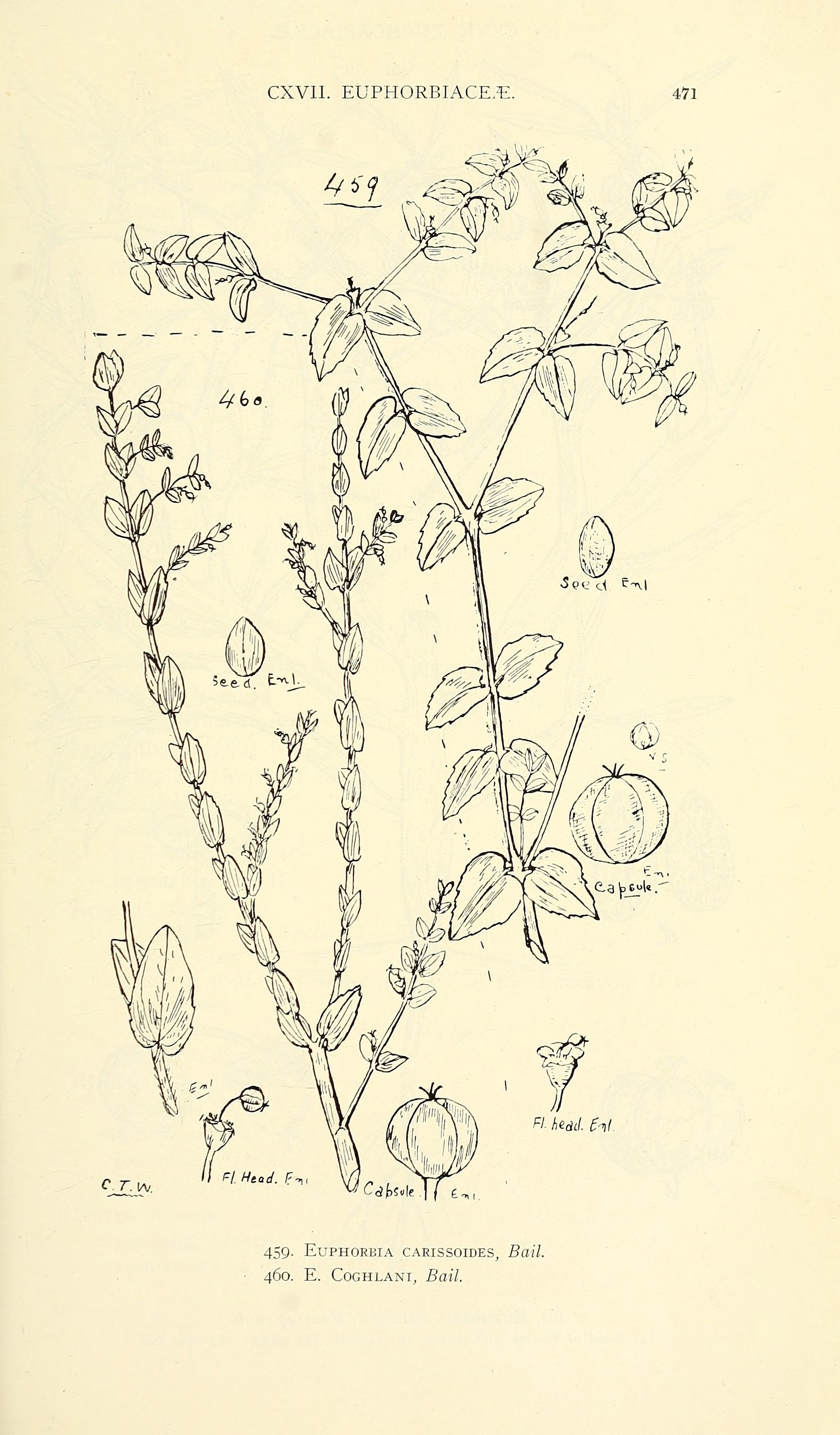 no full size  illustration available (3a)