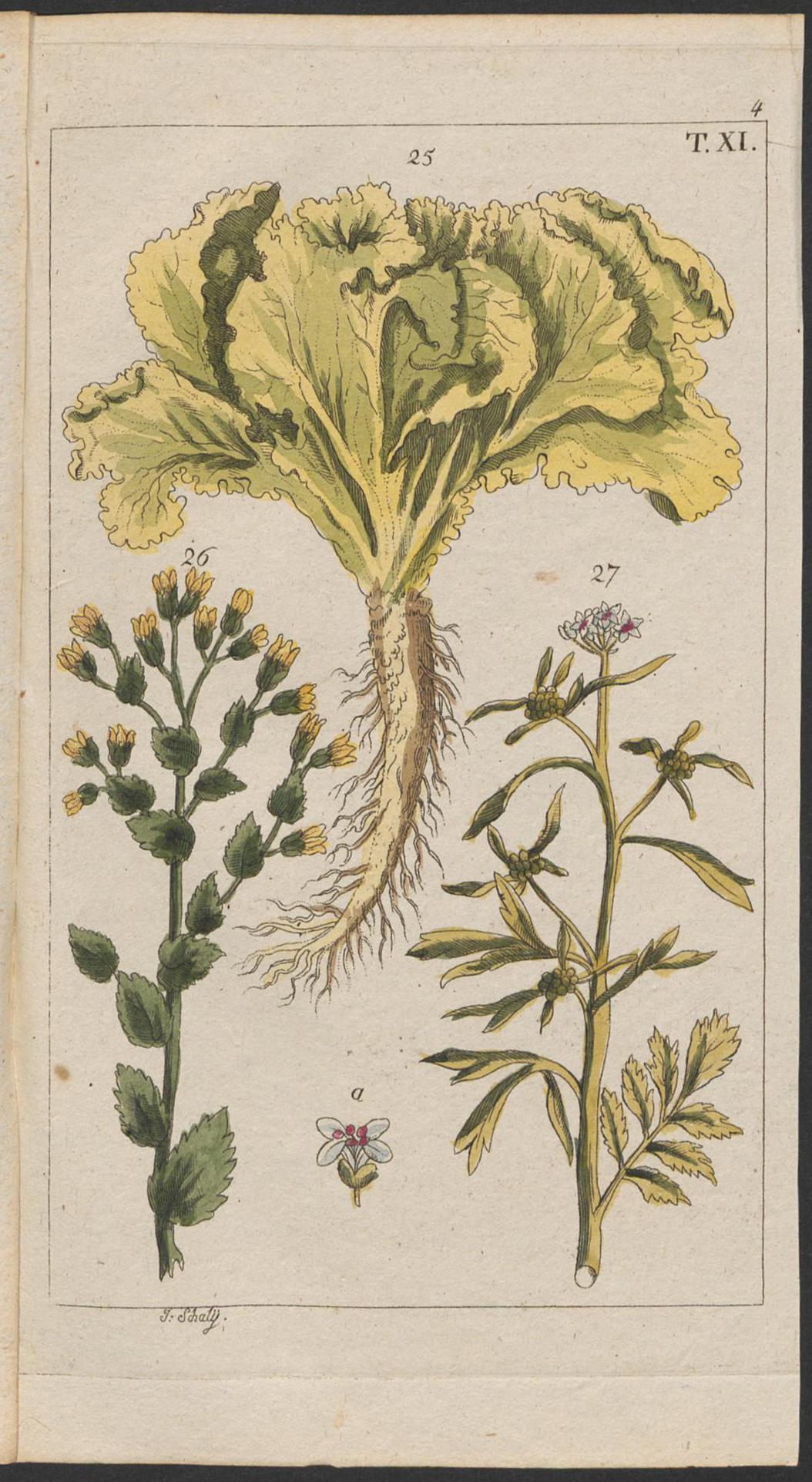 no full size  illustration available (3a)