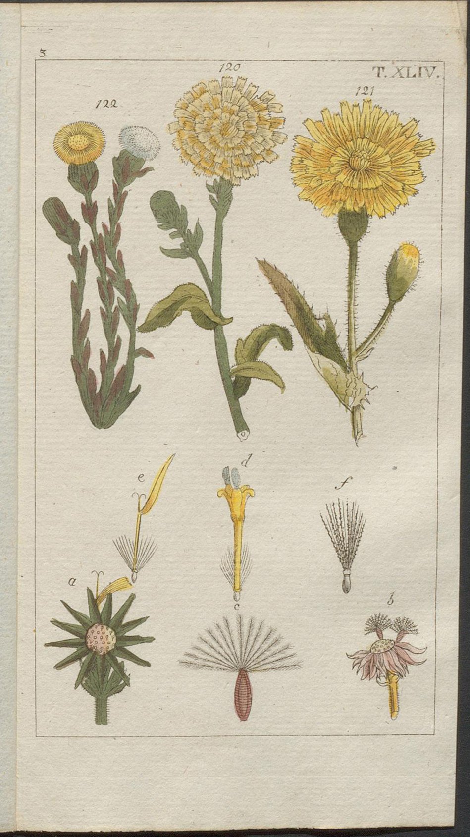 no full size  illustration available (3a)