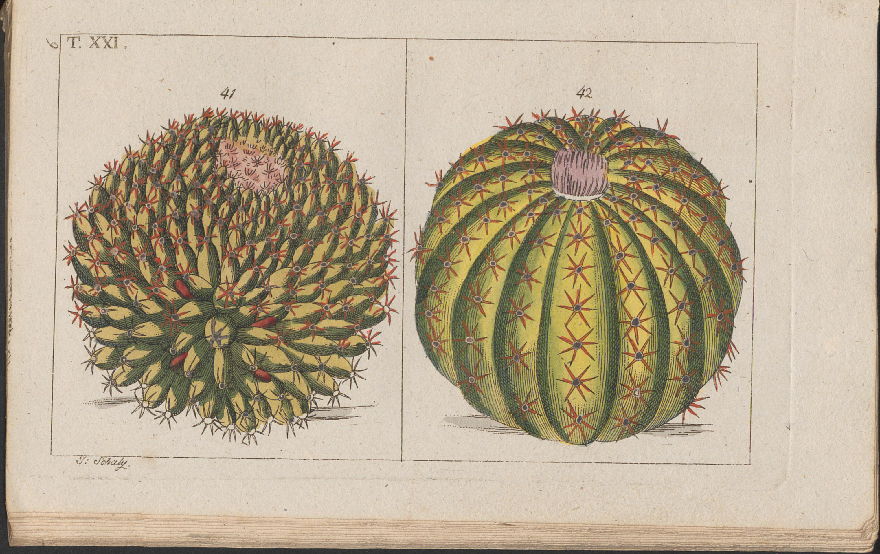 no full size  illustration available (3a)