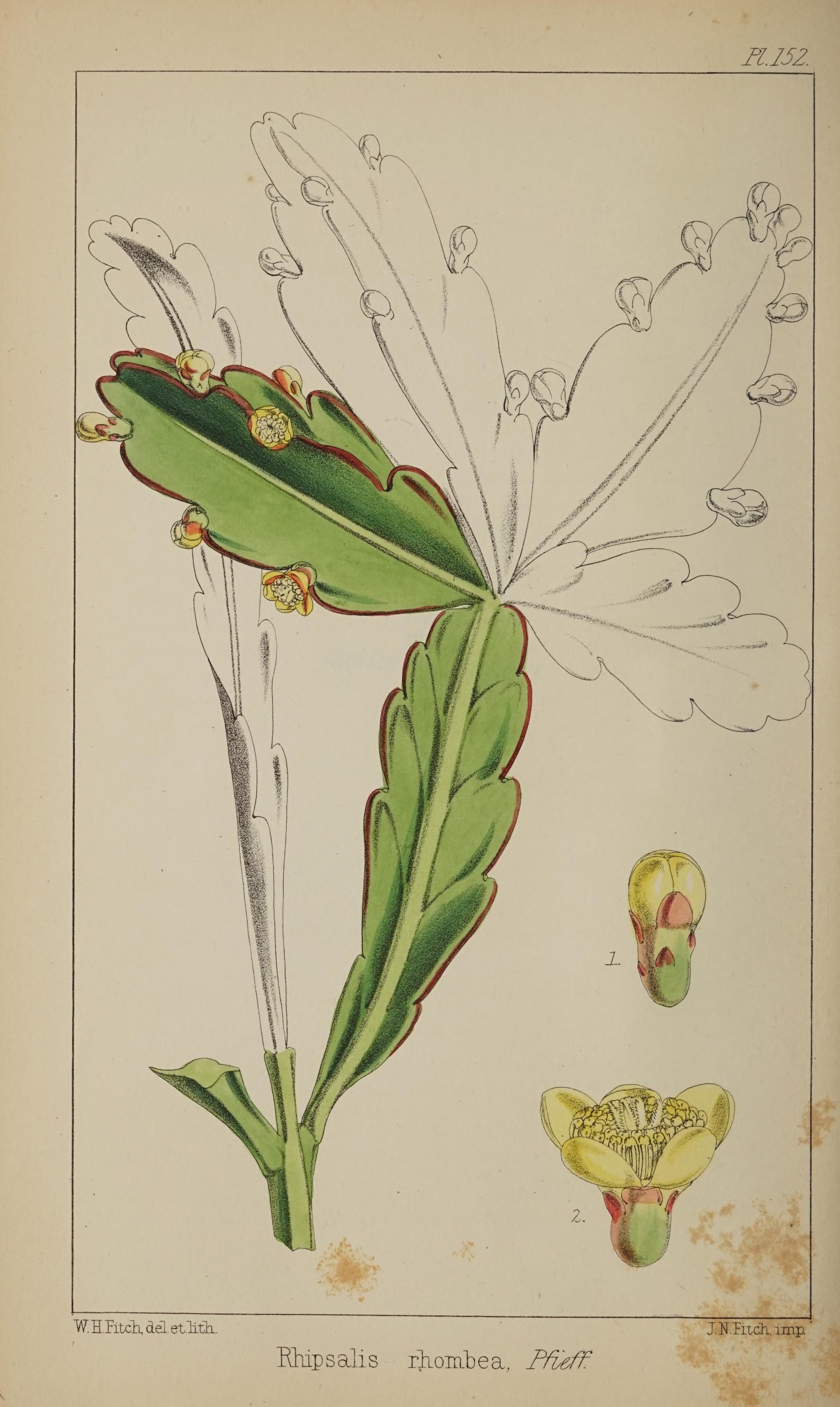 no full size  illustration available (3a)