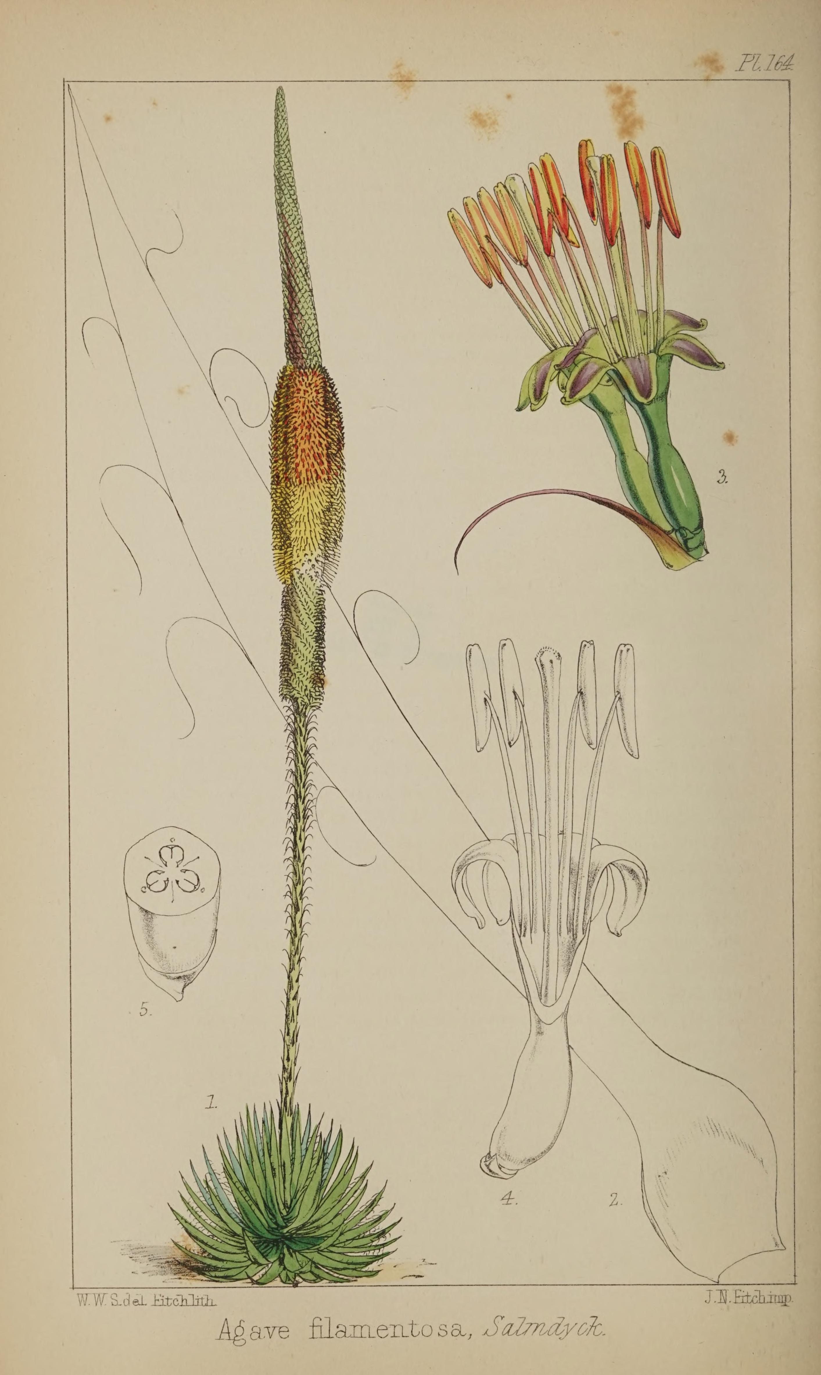 no full size  illustration available (3a)