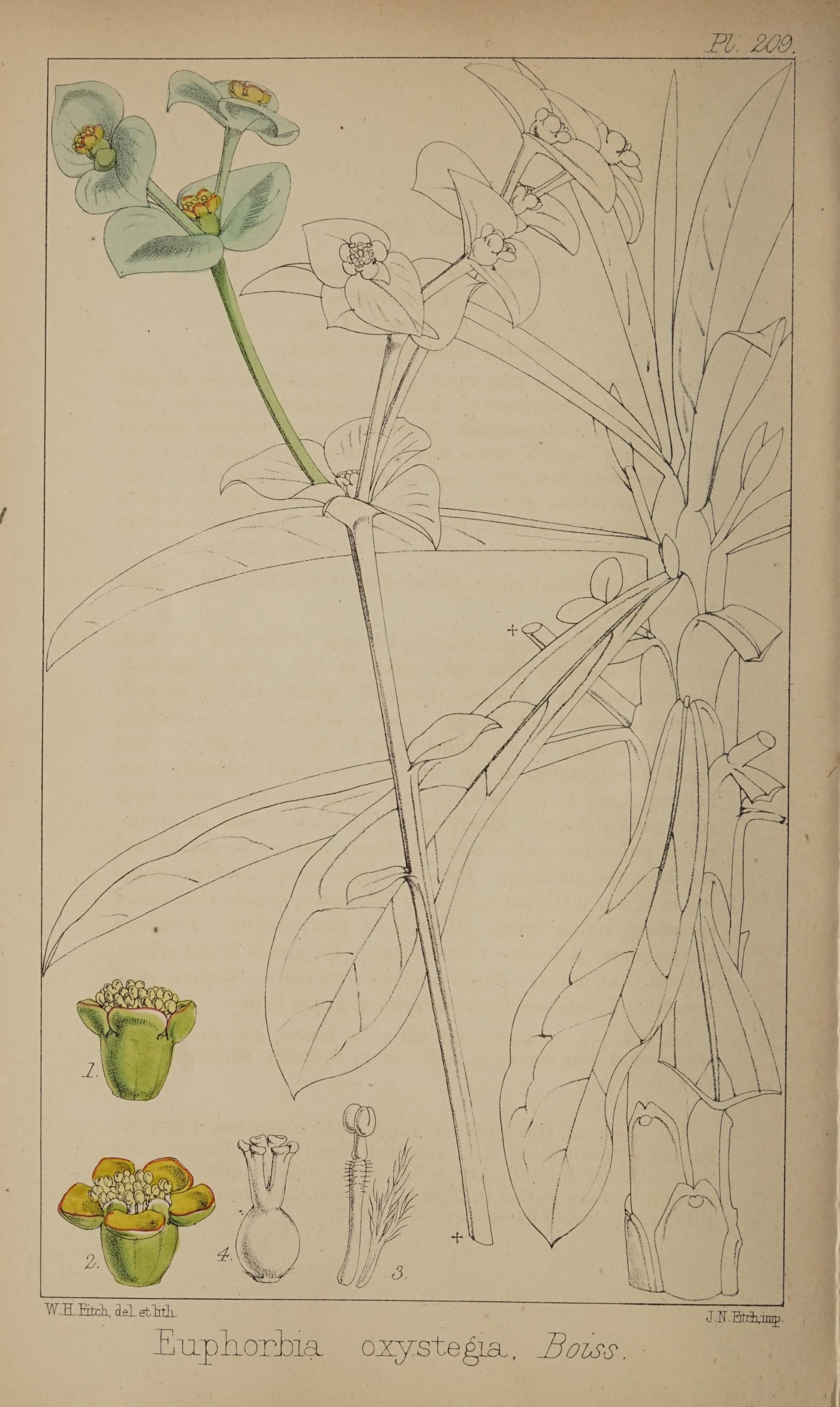 no full size  illustration available (3a)