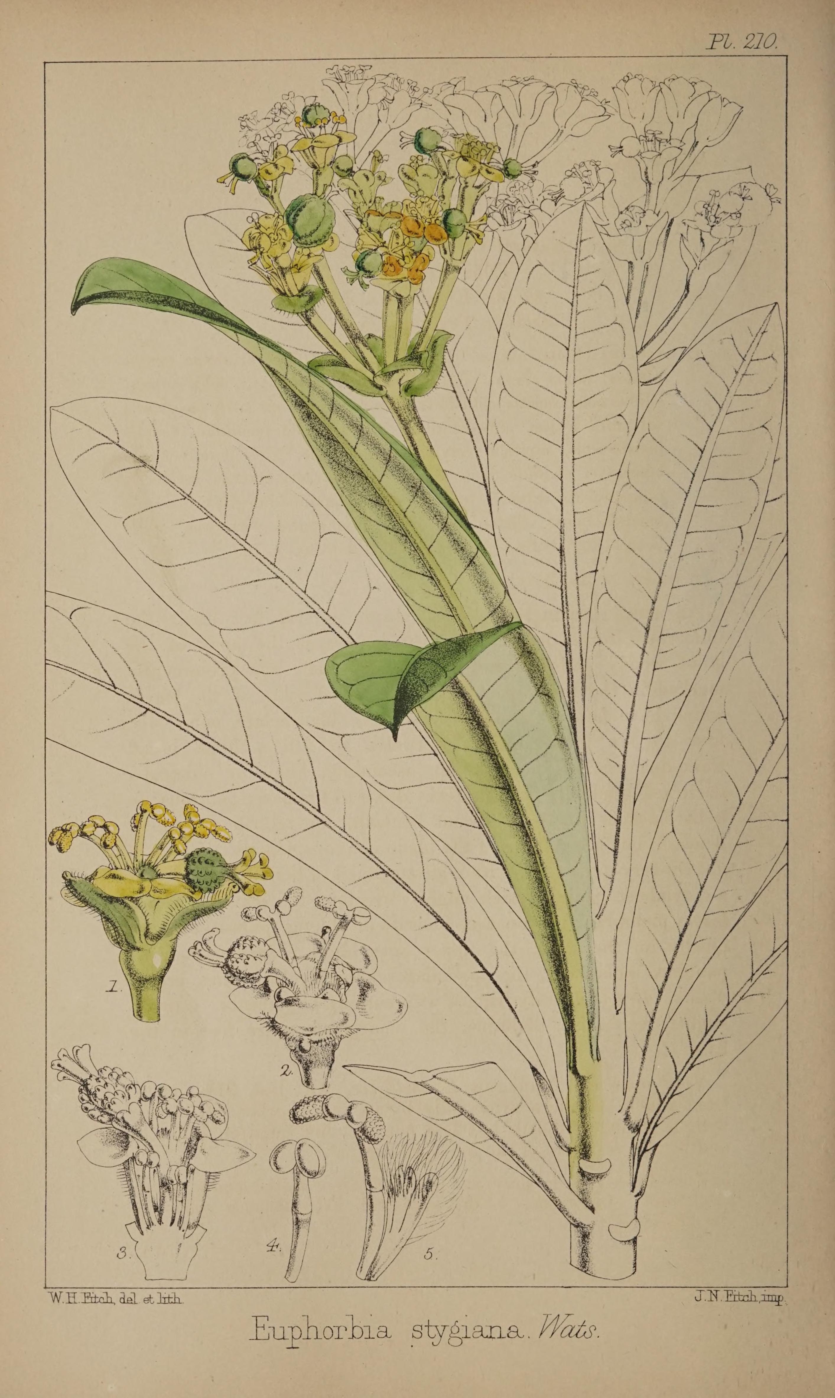 no full size  illustration available (3a)