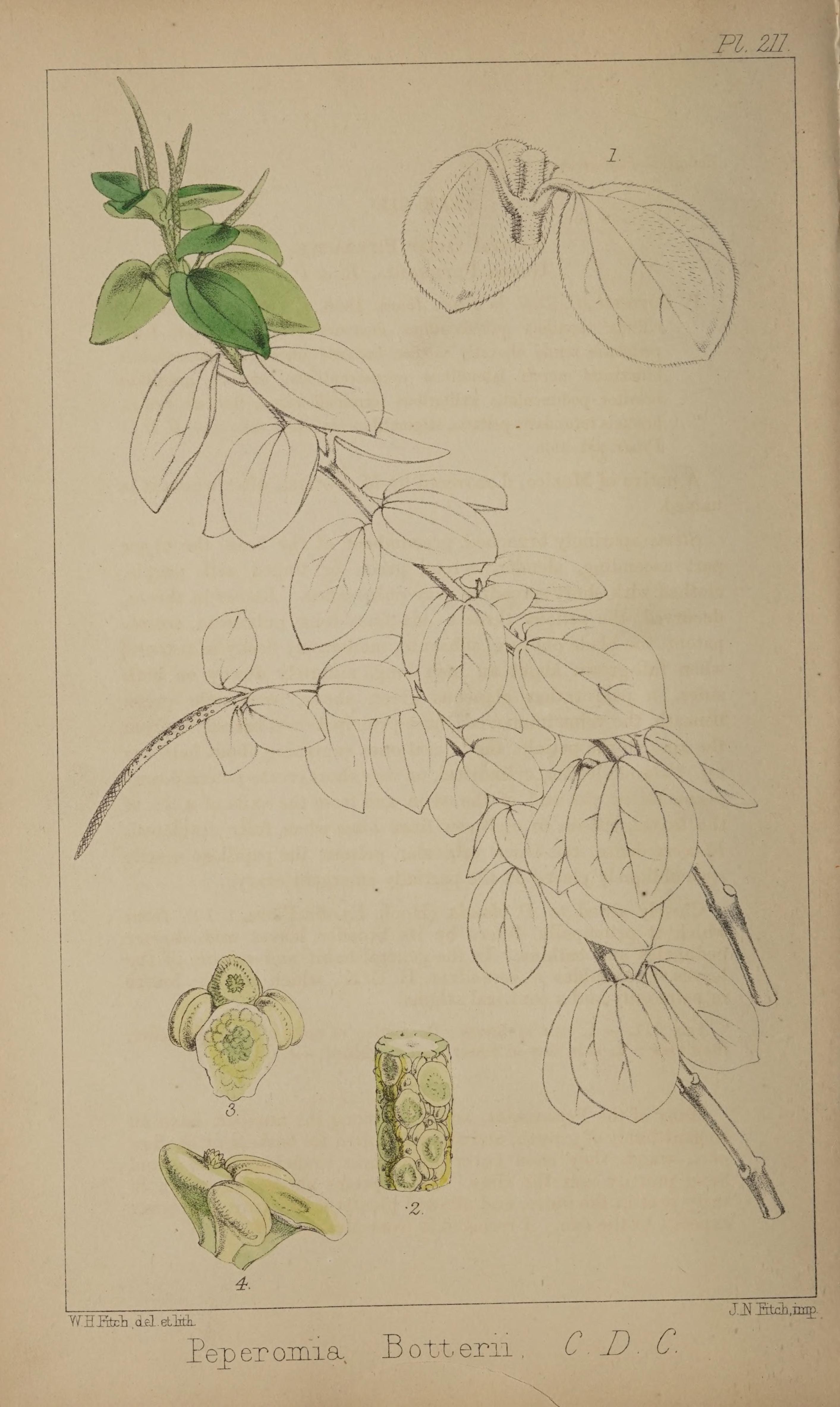 no full size  illustration available (3a)