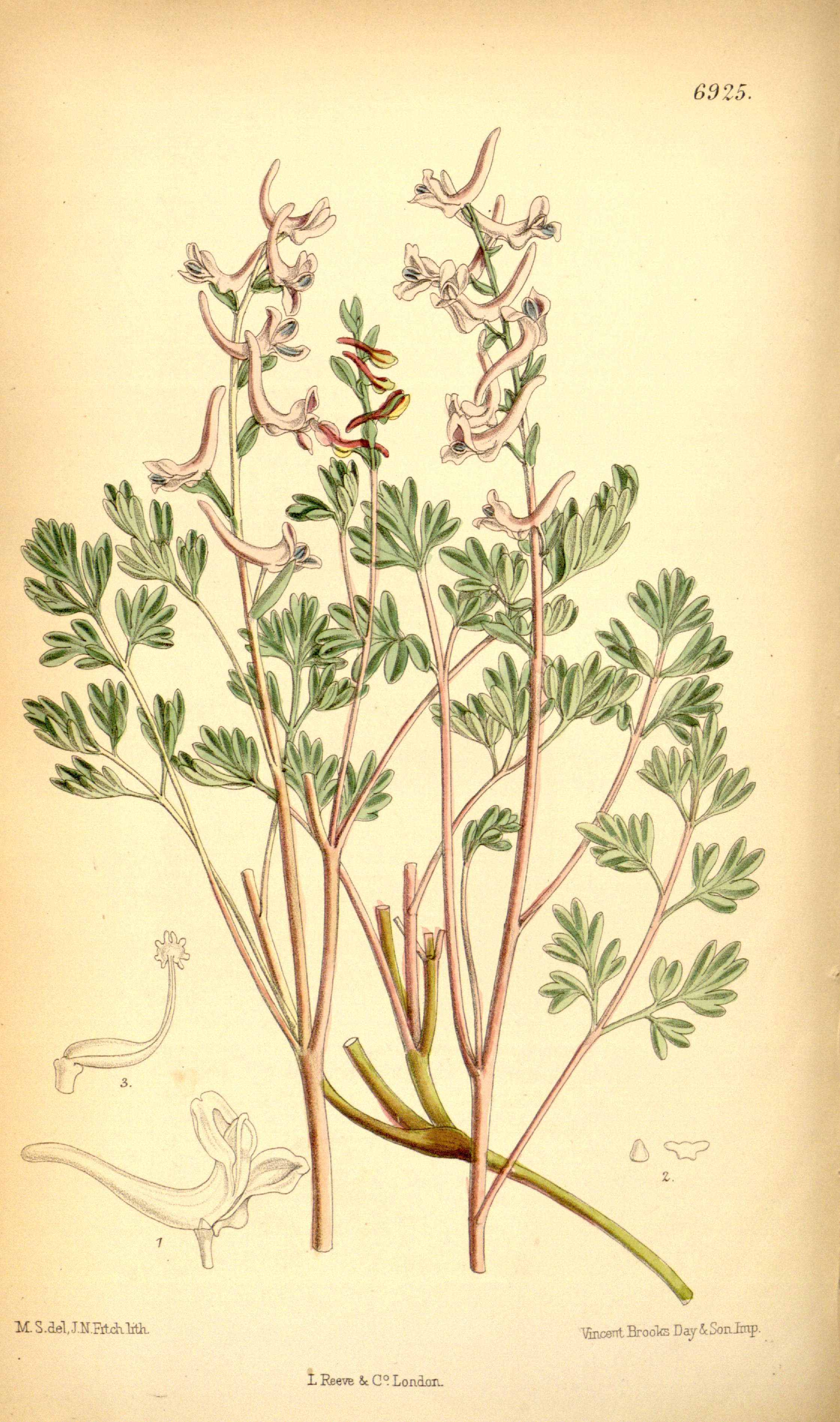 no full size  illustration available (3a)