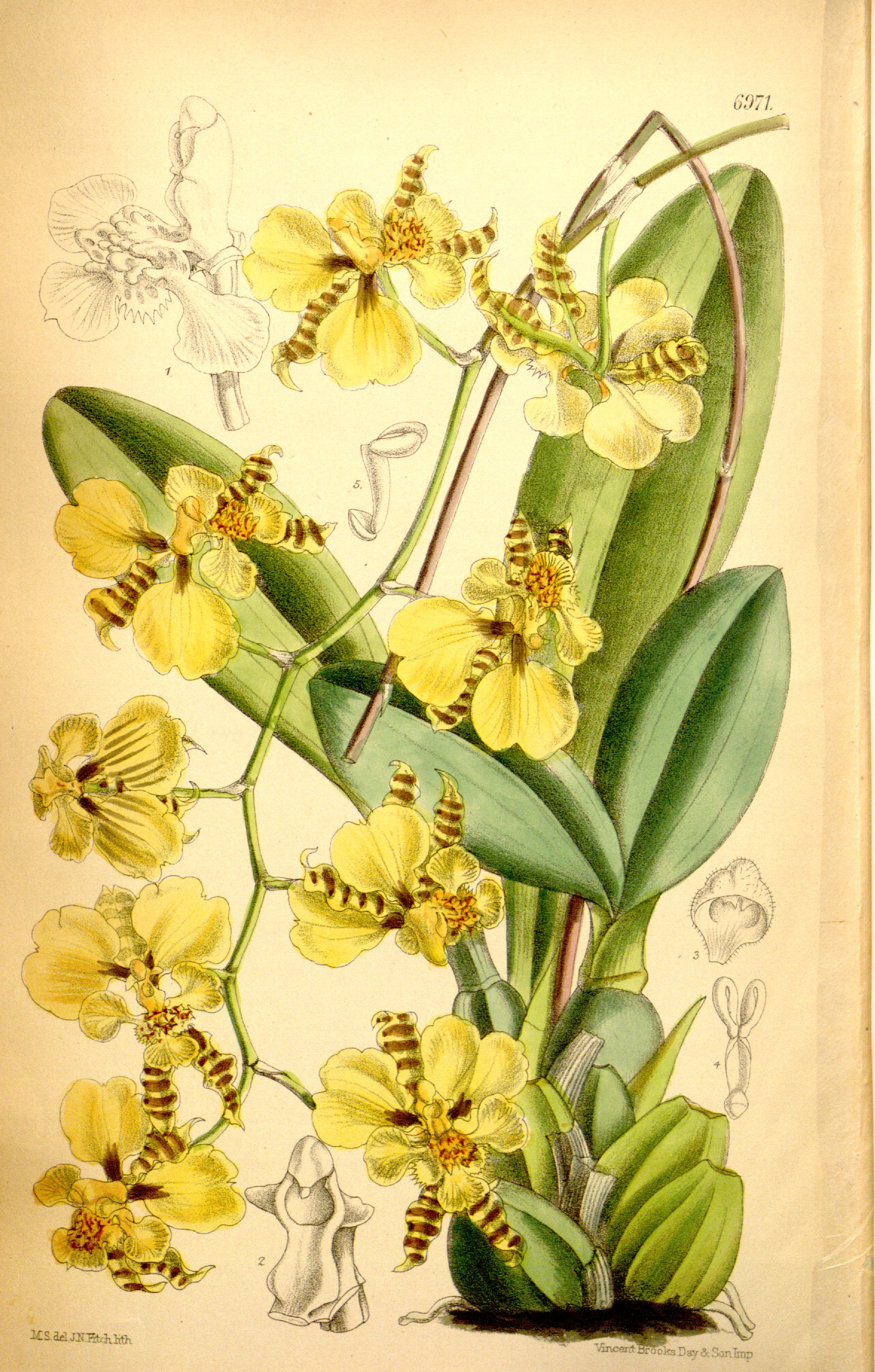 no full size  illustration available (3a)