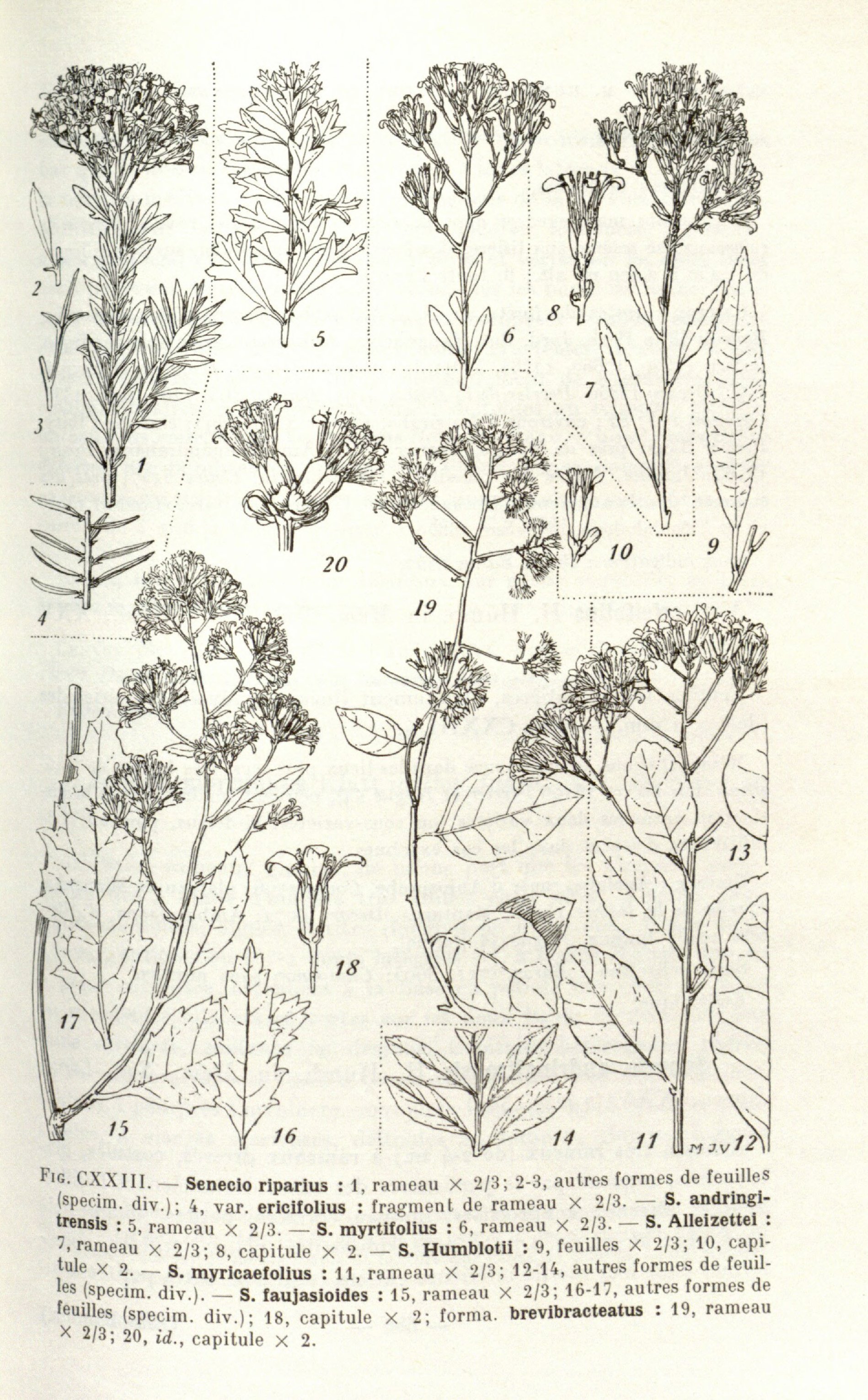 no full size  illustration available (3a)