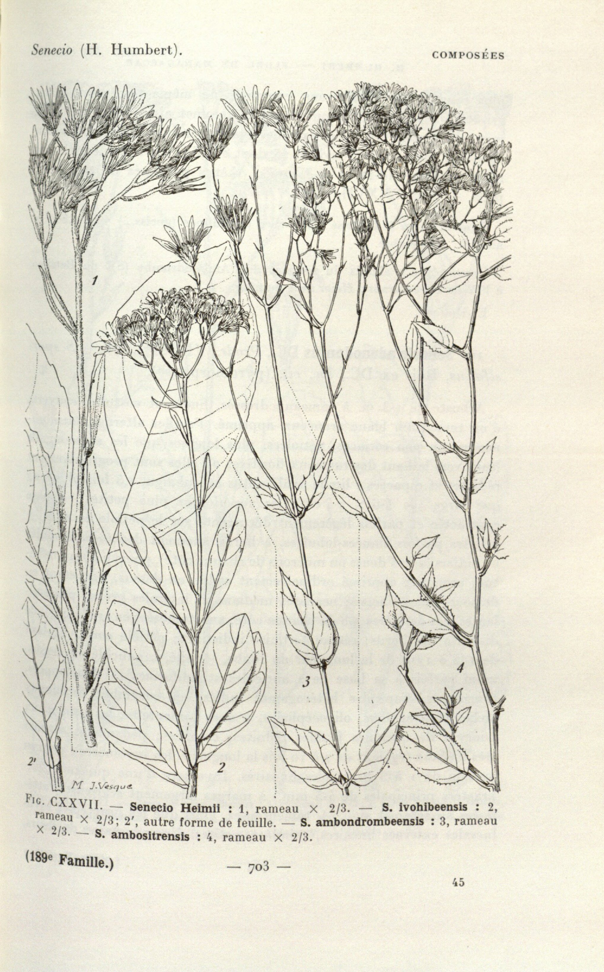 no full size  illustration available (3a)