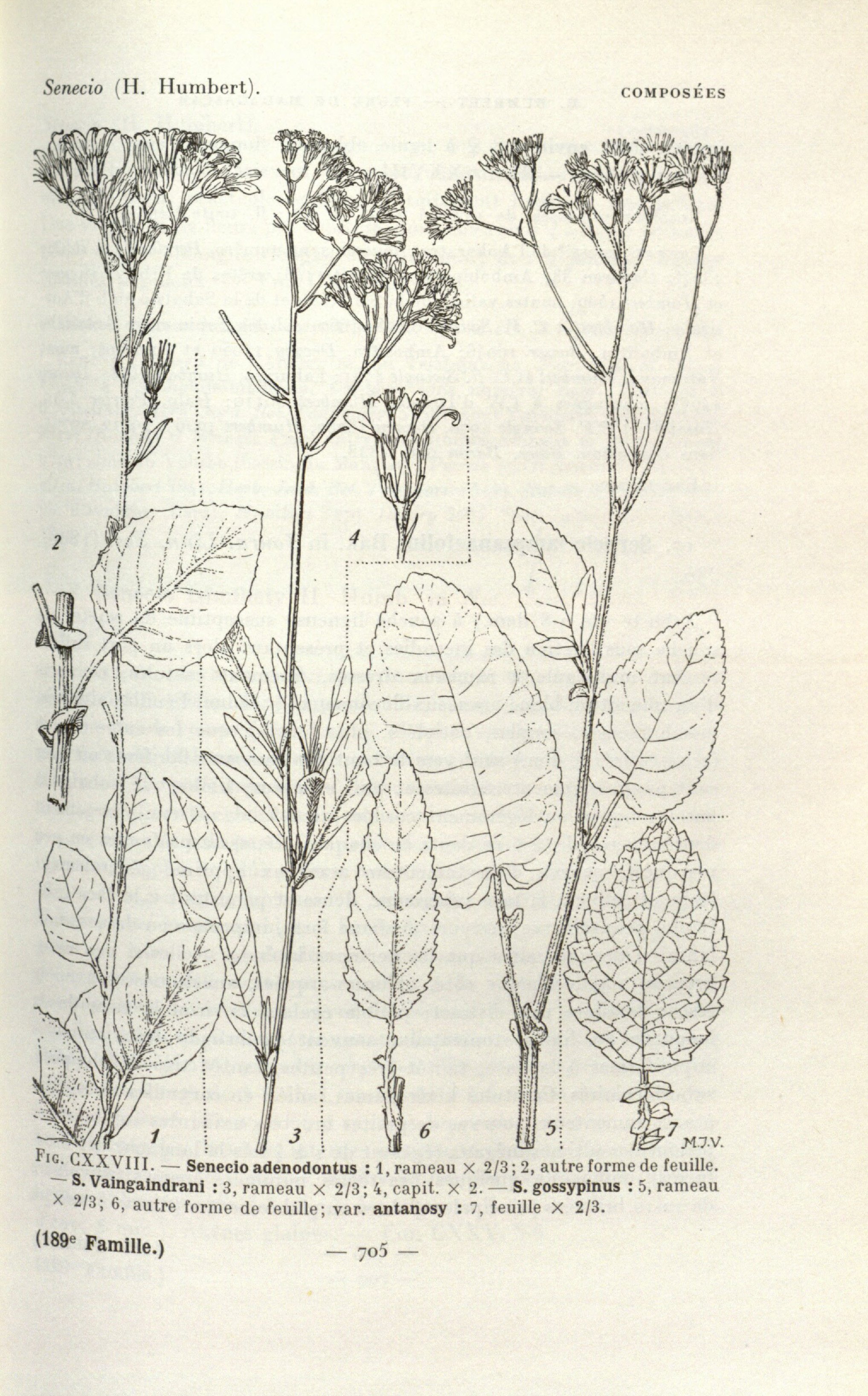 no full size  illustration available (3a)