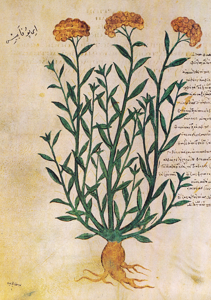 no full size  illustration available (3a)