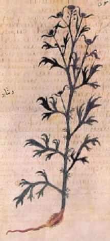 no full size  illustration available (3a)