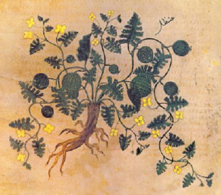 no full size  illustration available (3a)