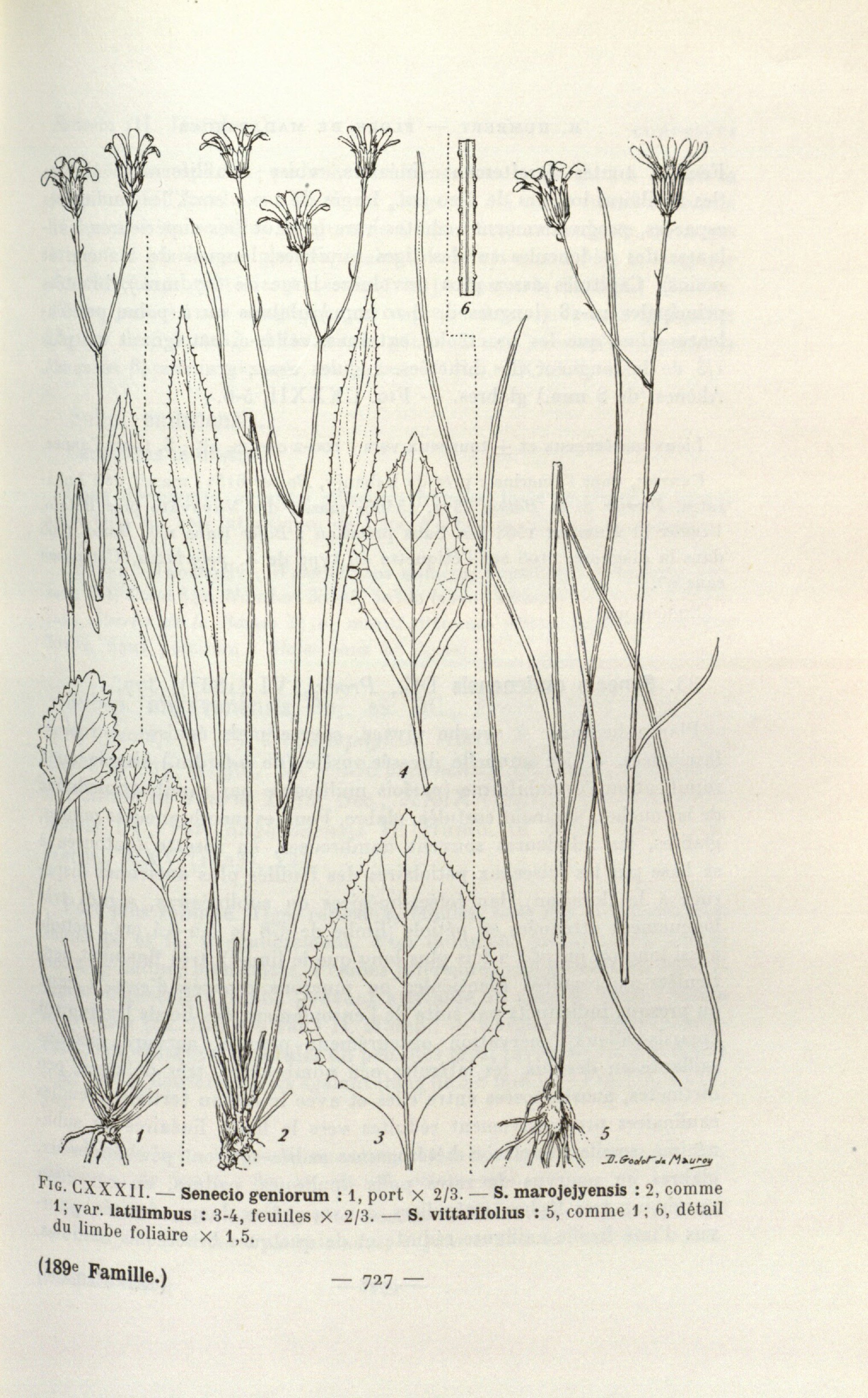 no full size  illustration available (3a)