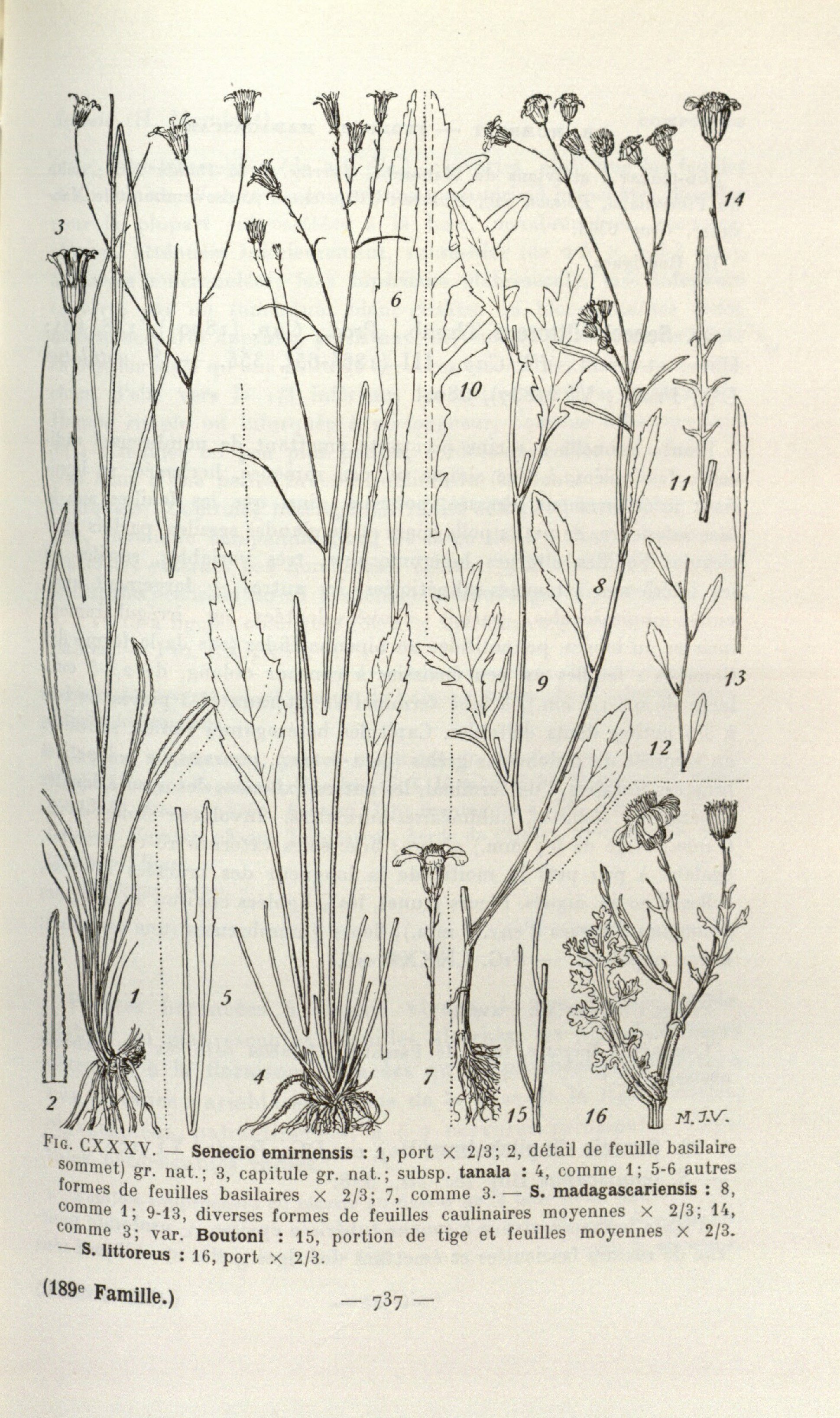 no full size  illustration available (3a)