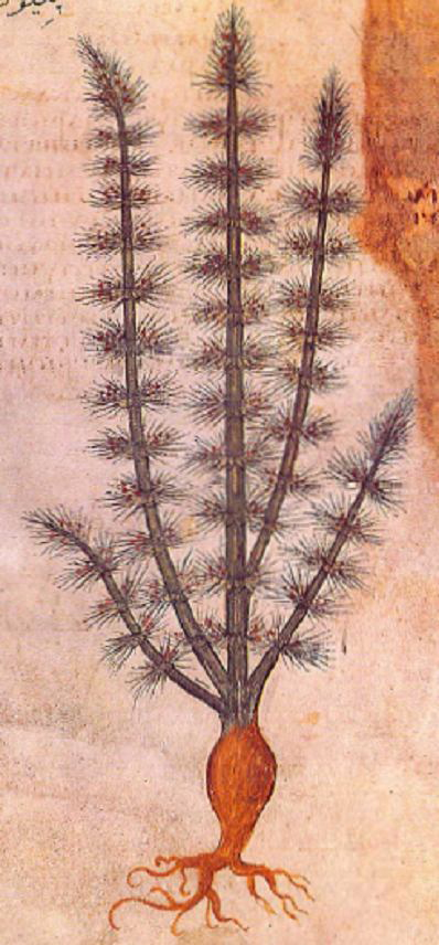 no full size  illustration available (3a)