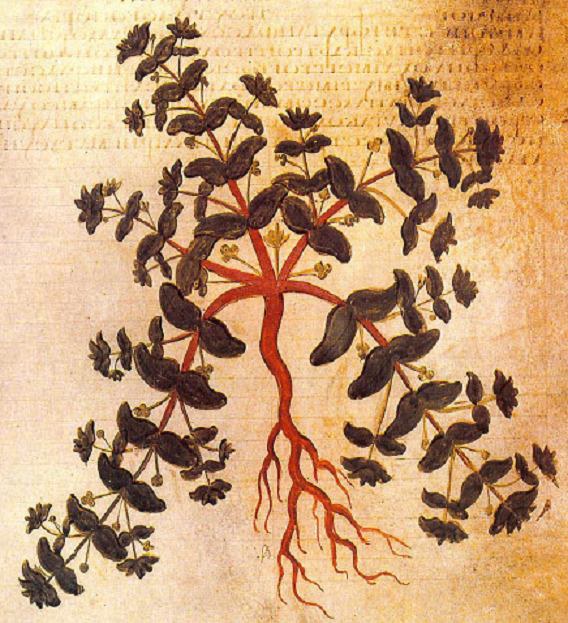 no full size  illustration available (3a)