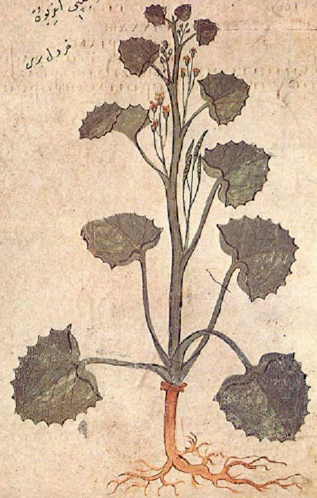 no full size  illustration available (3a)