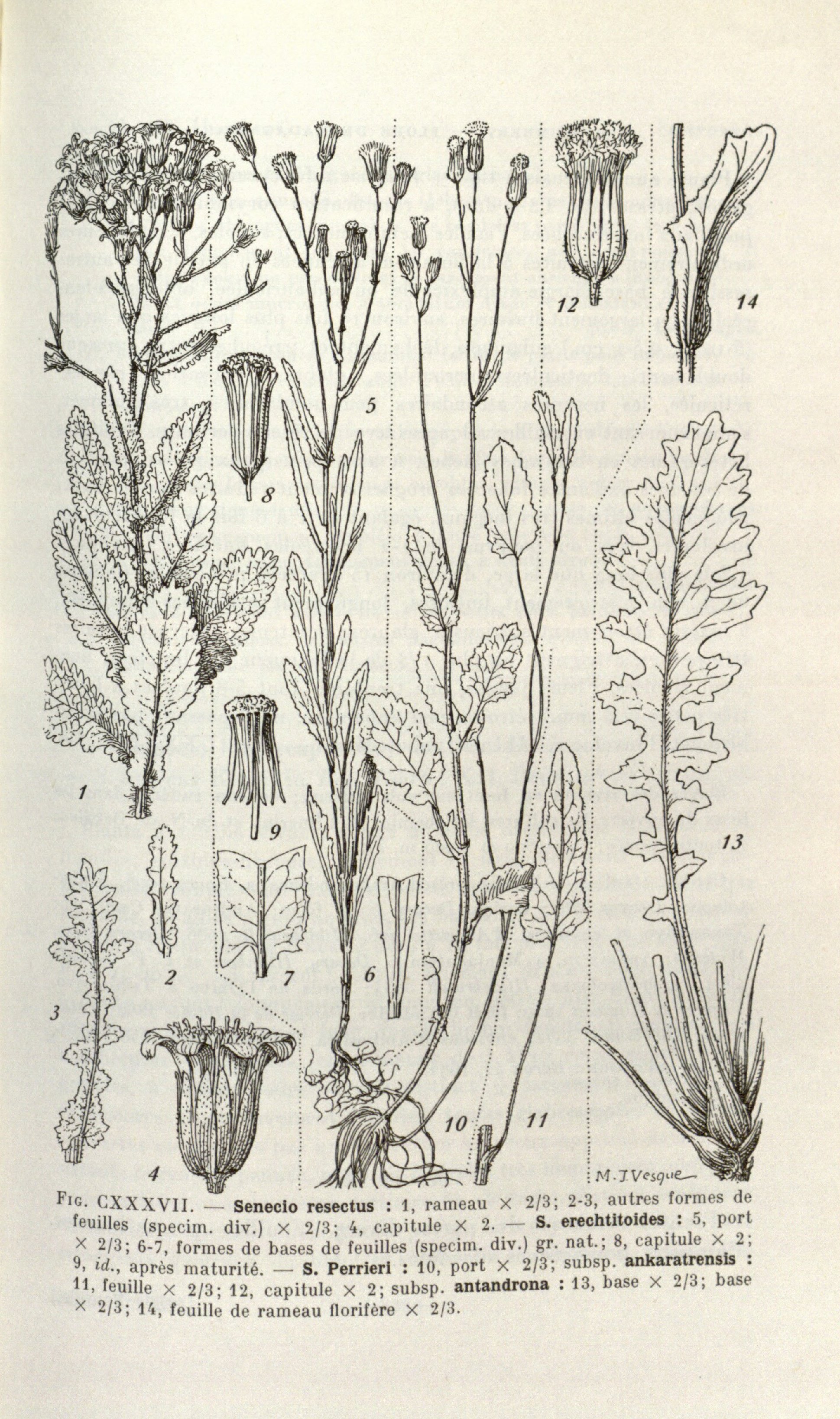 no full size  illustration available (3a)