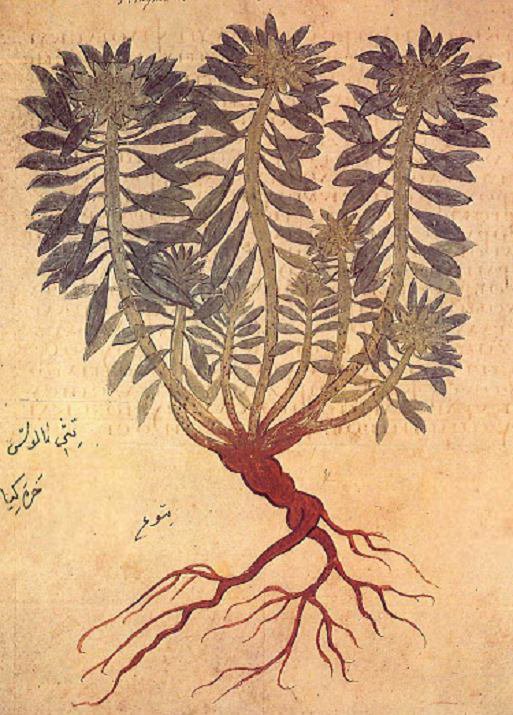 no full size  illustration available (3a)